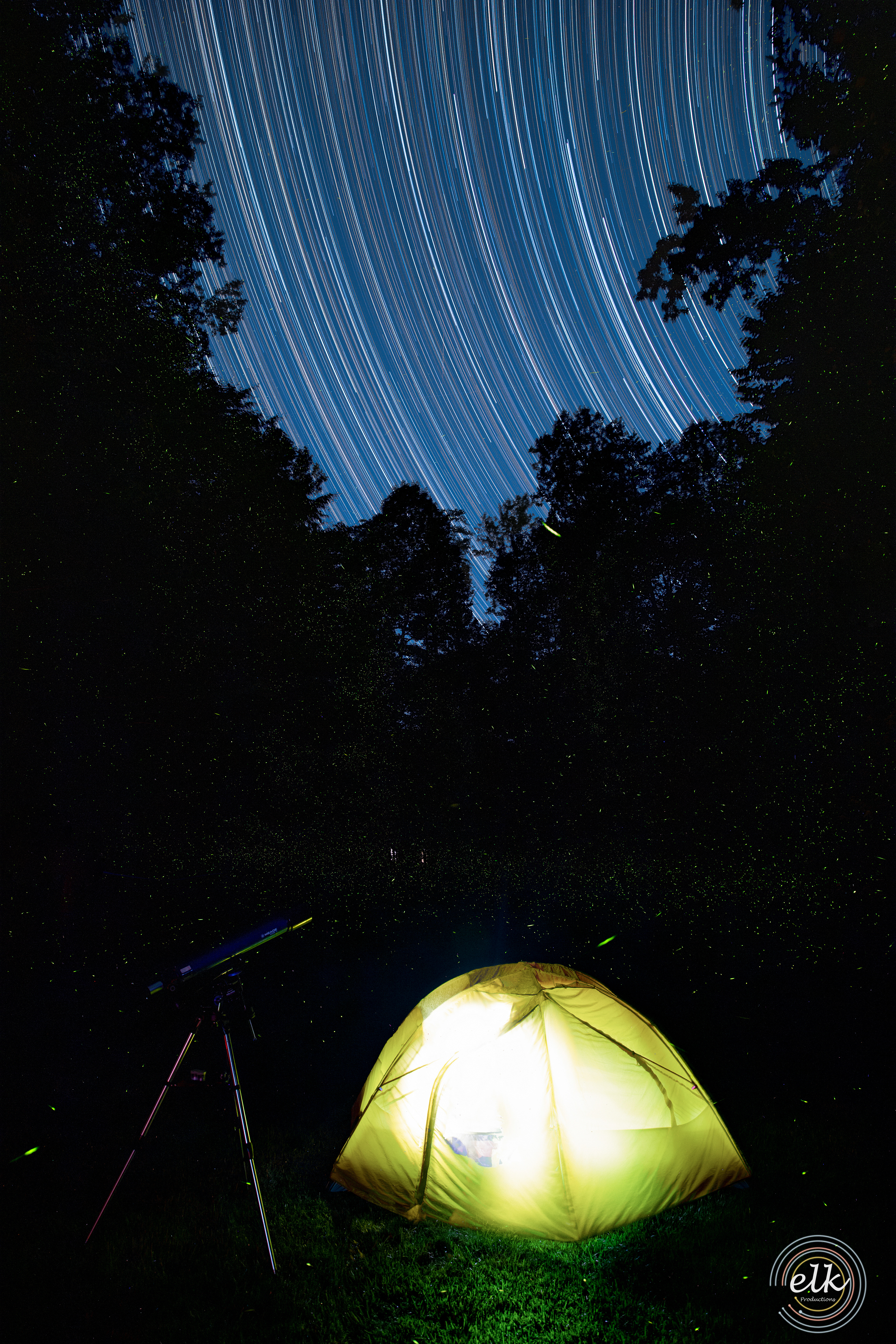 Star trails and fireflies 2. Fairfax Station, VA.