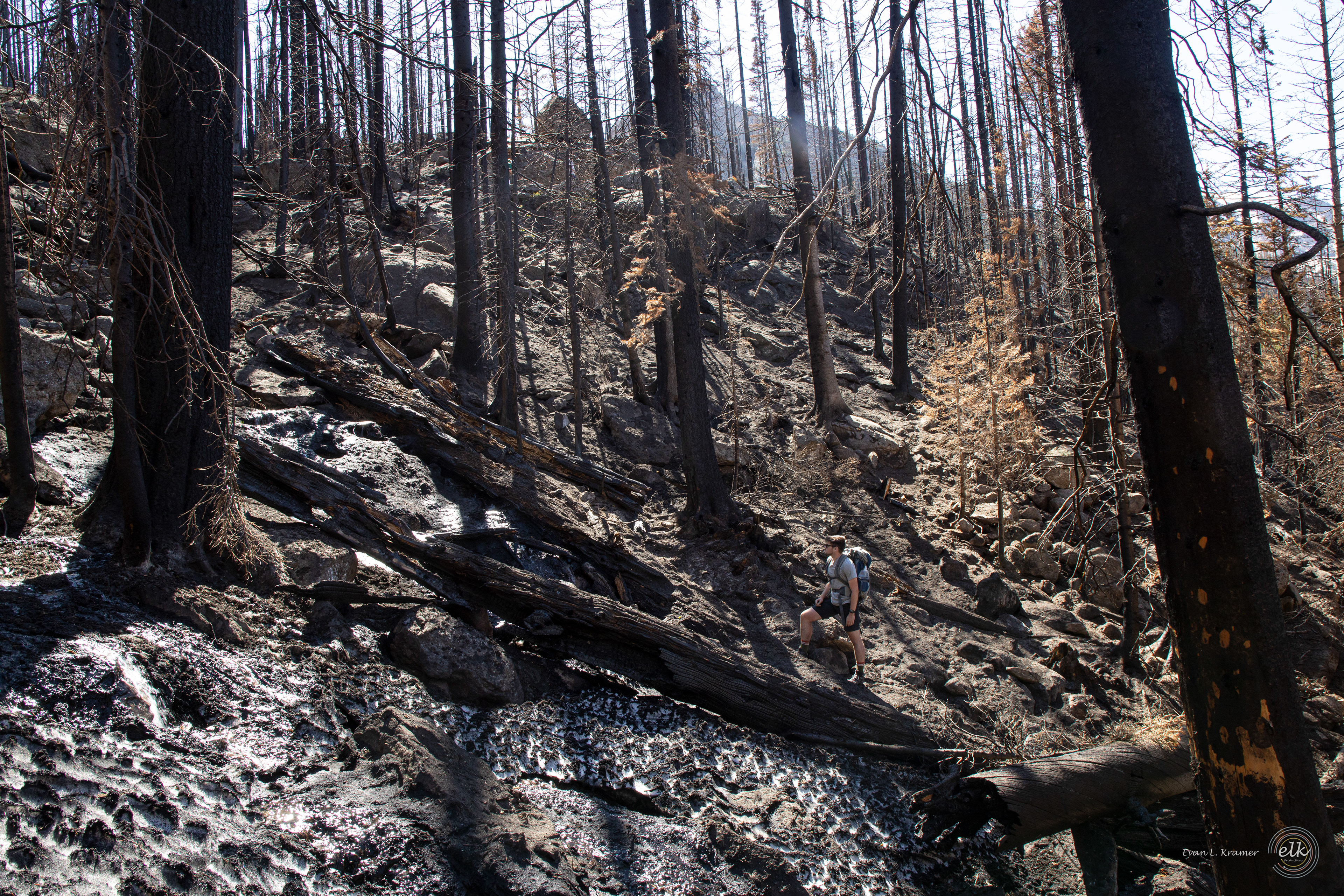 Burn zone navigating 1. Rocky Mountain NP, CO.