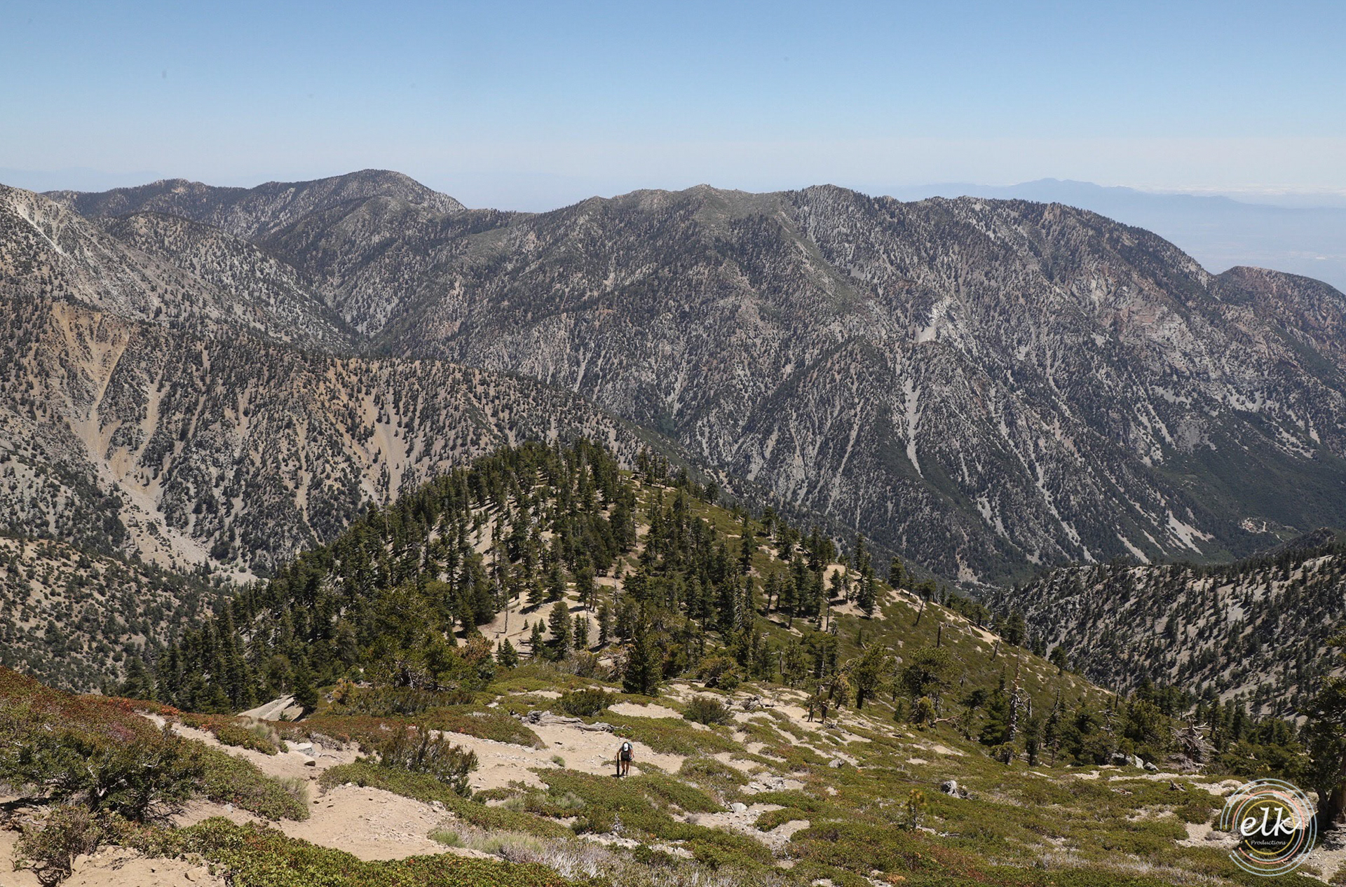 Wilderness. Los Angeles, CA.