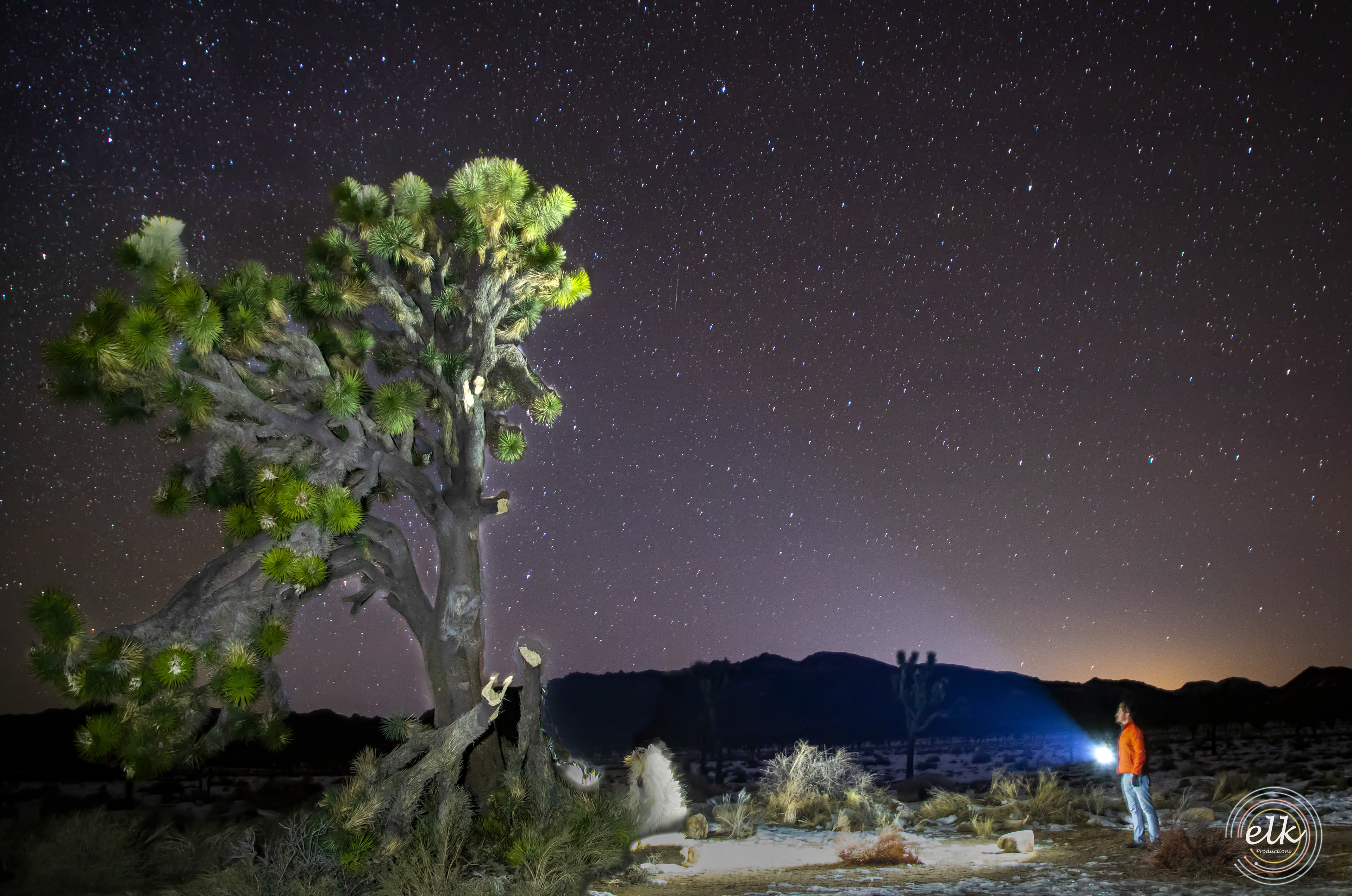 Night walk. Joshua Tree NP, CA.