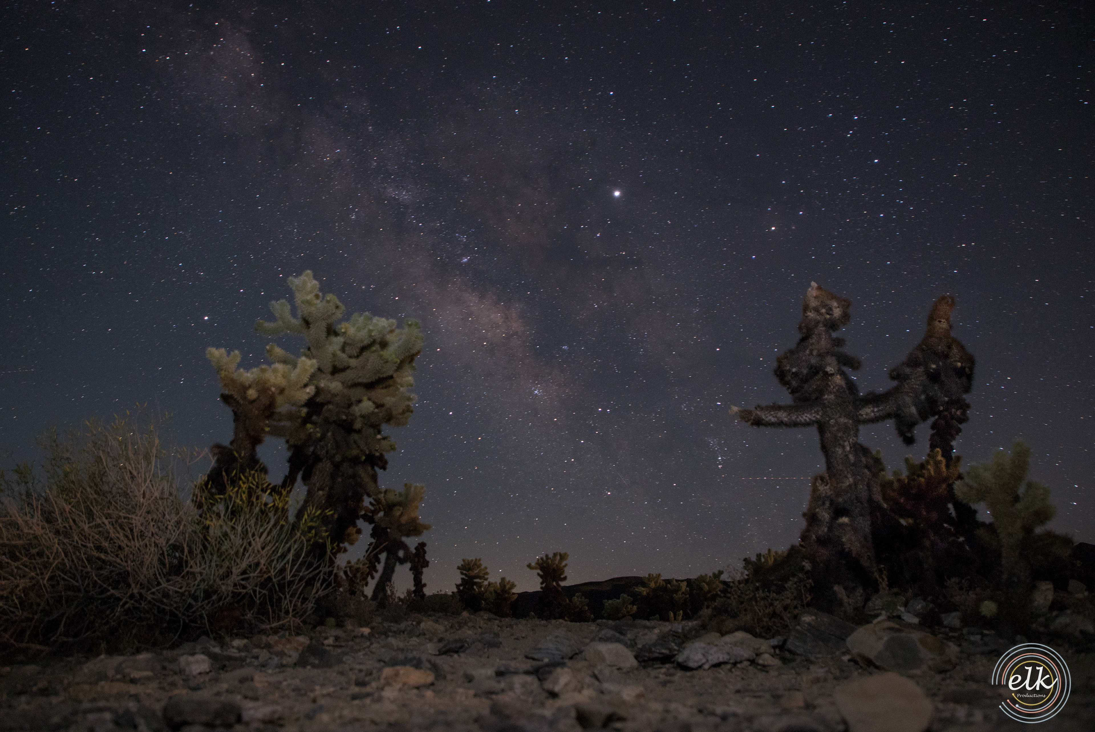 Earth and the galaxy. Joshua Tree NP, CA.