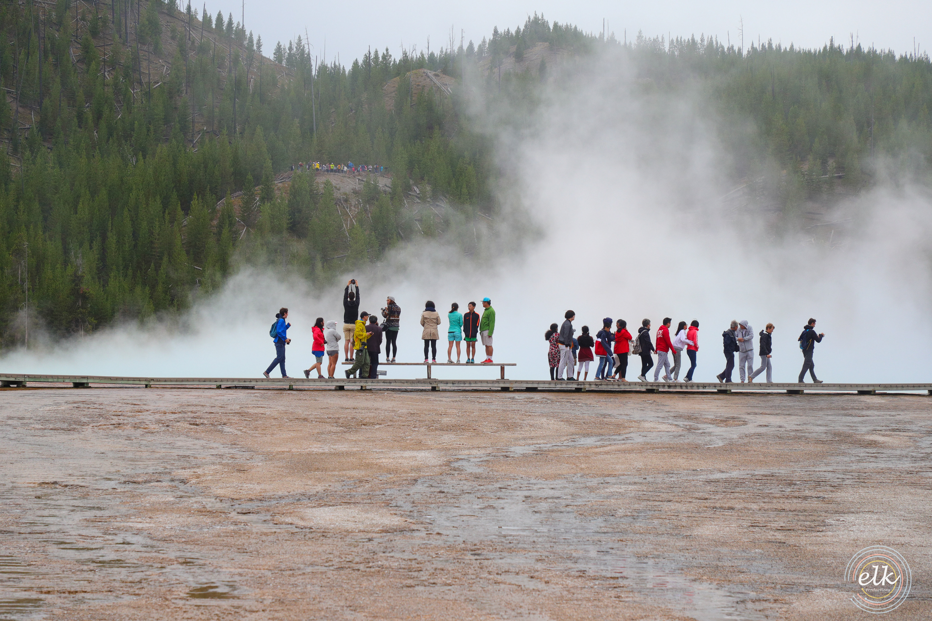 Follow the leader. Yellowstone NP, WY.