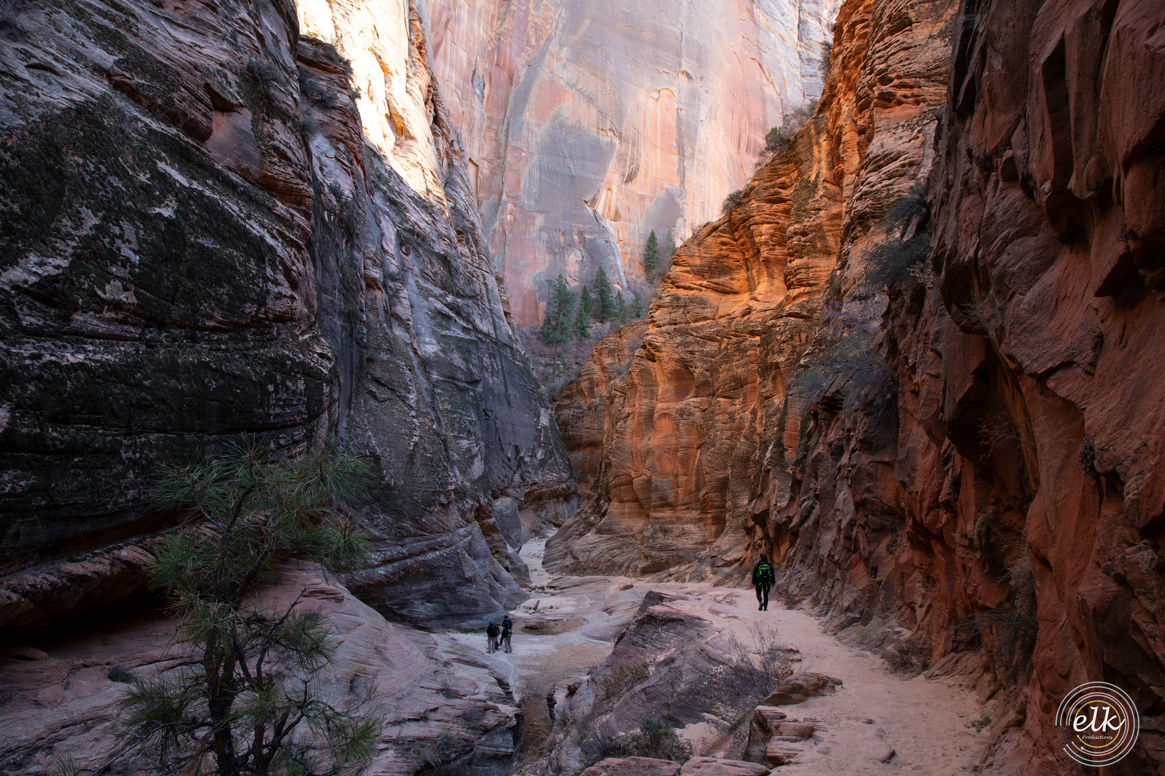 Red walls. Zion NP, UT.