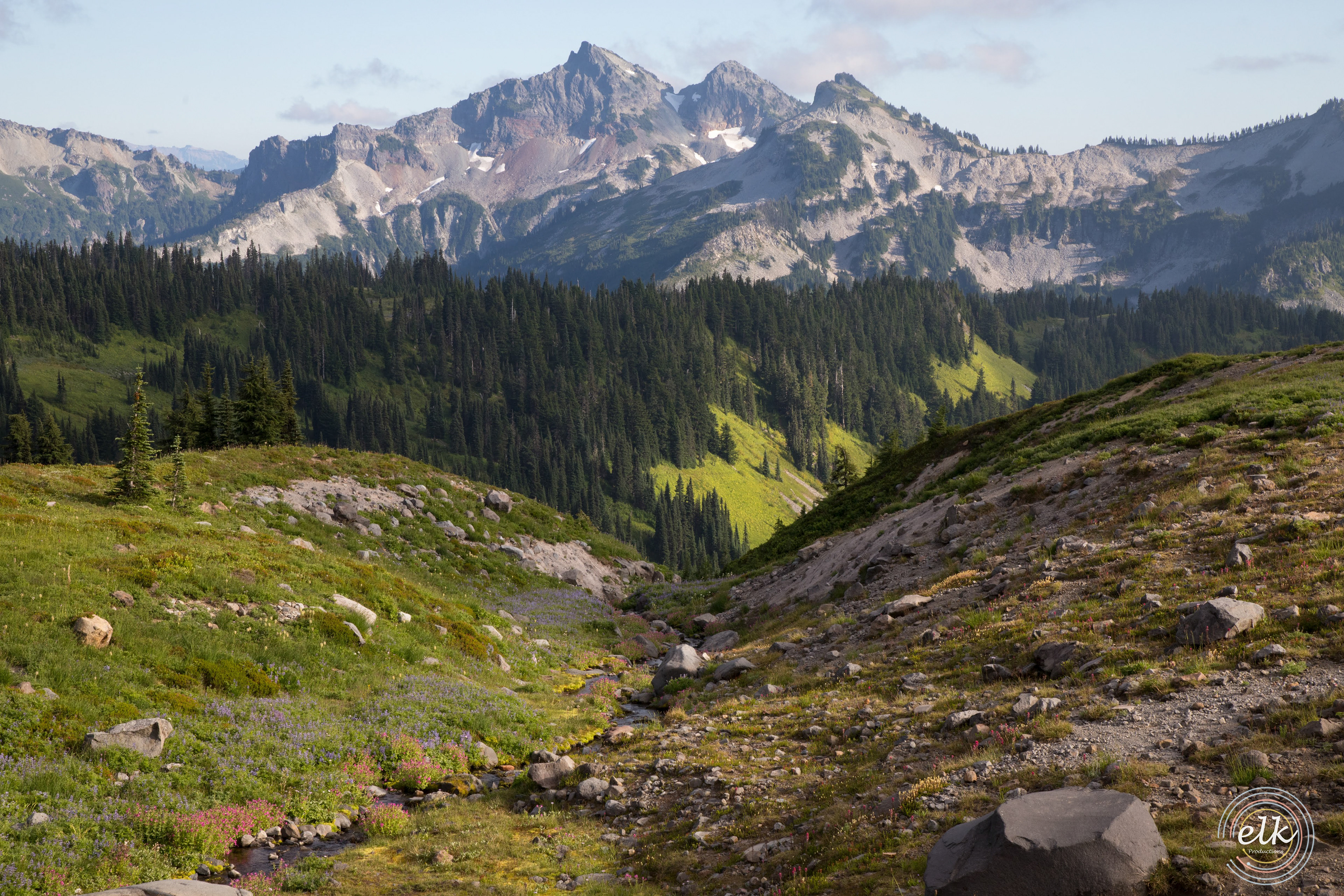 A fantasy's landscape. Mt. Rainier NP, WA.