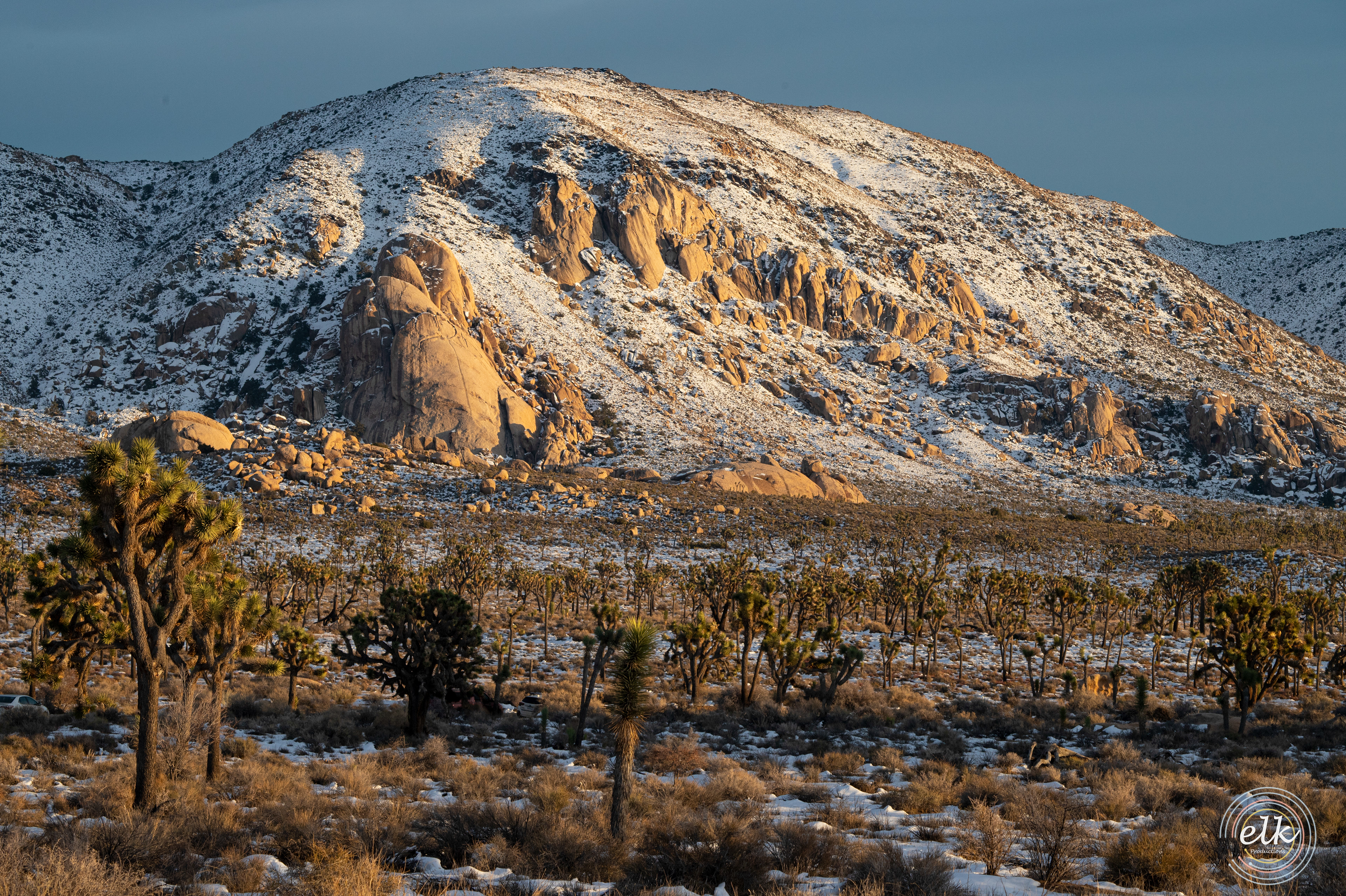 Winter's desert. Joshua Tree NP, CA.