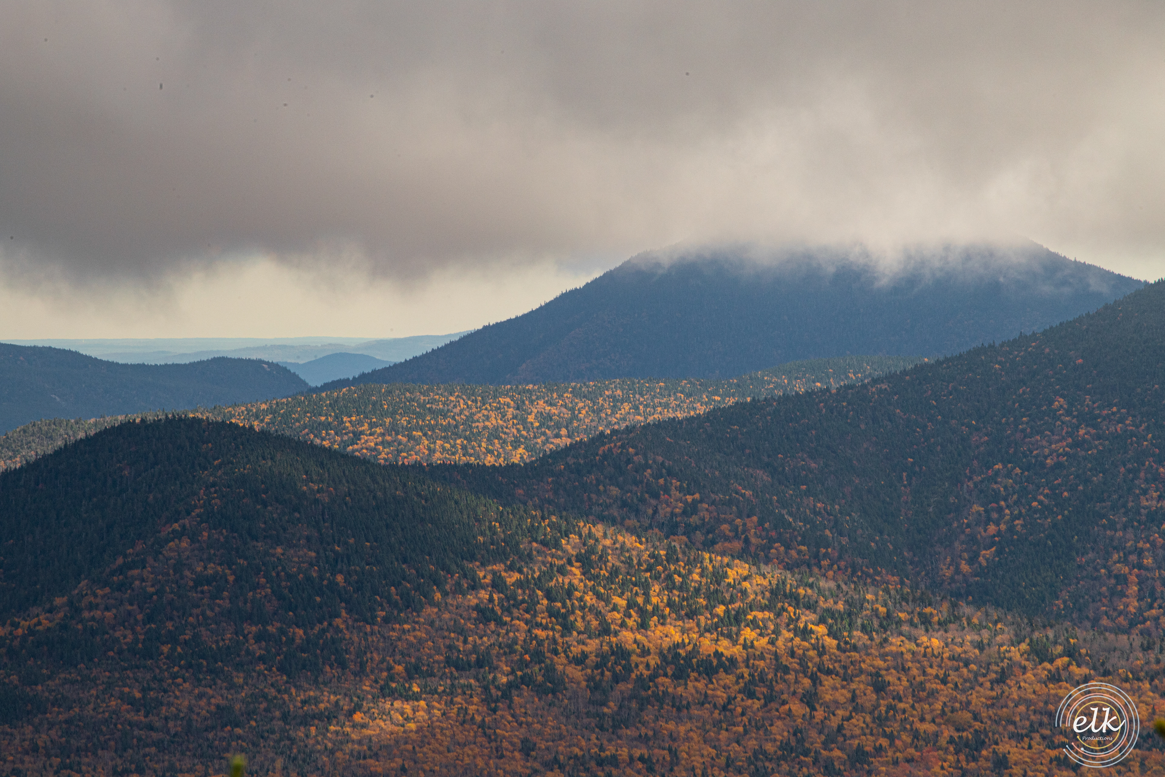 Turncoat. White Mountains, NH.