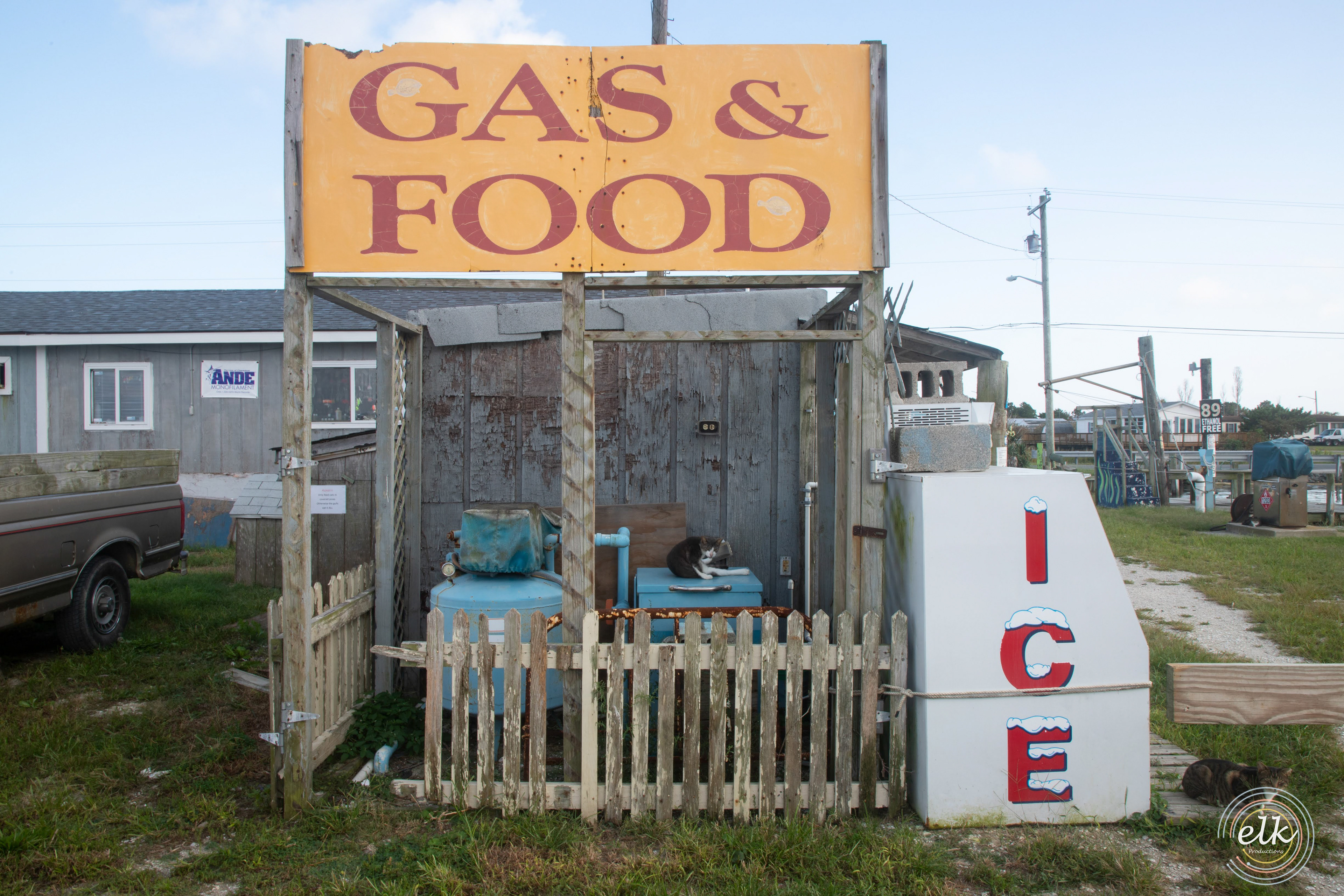 Feline-run. Chincoteague, VA.