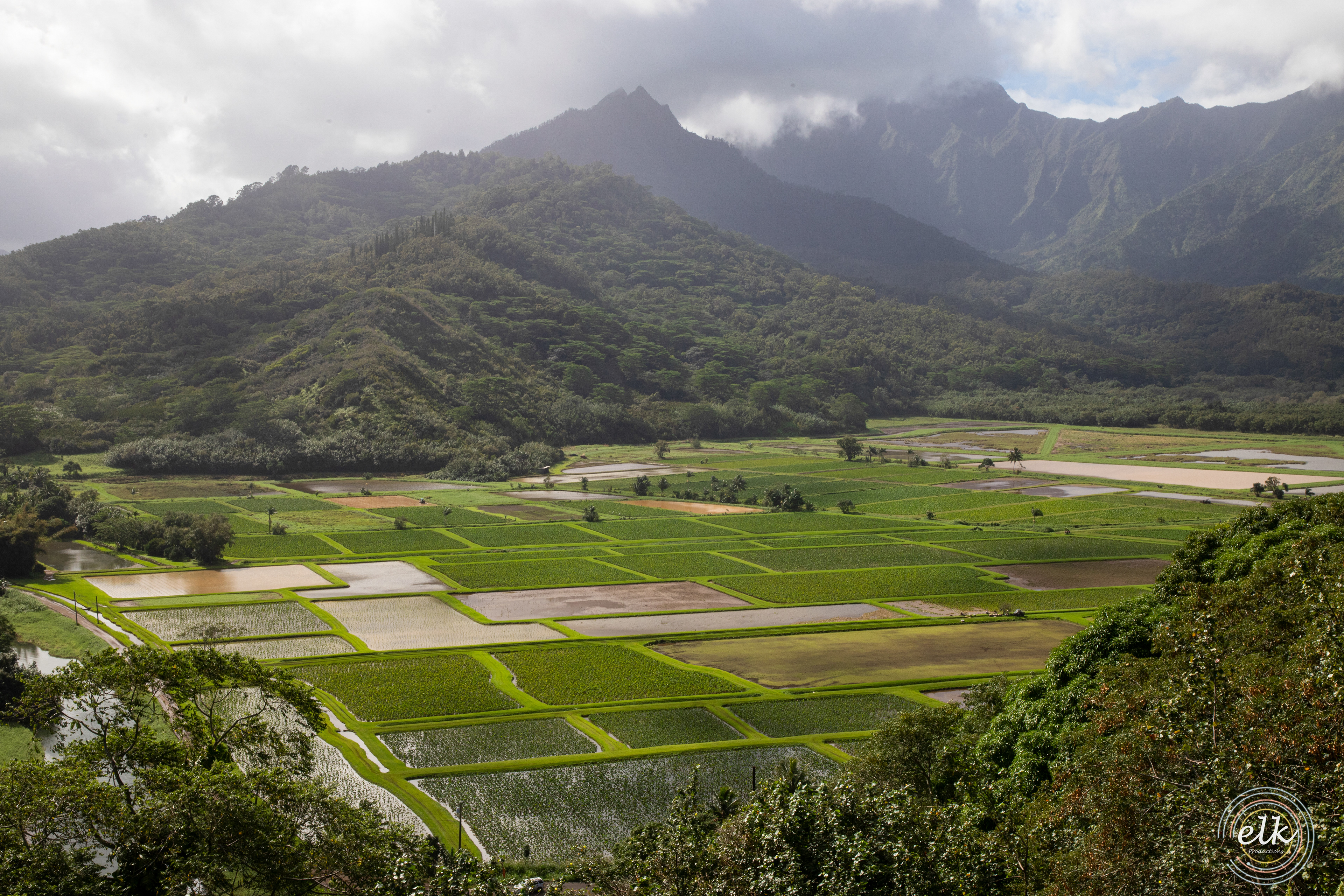 Green expanse 2. Kauai, HI.