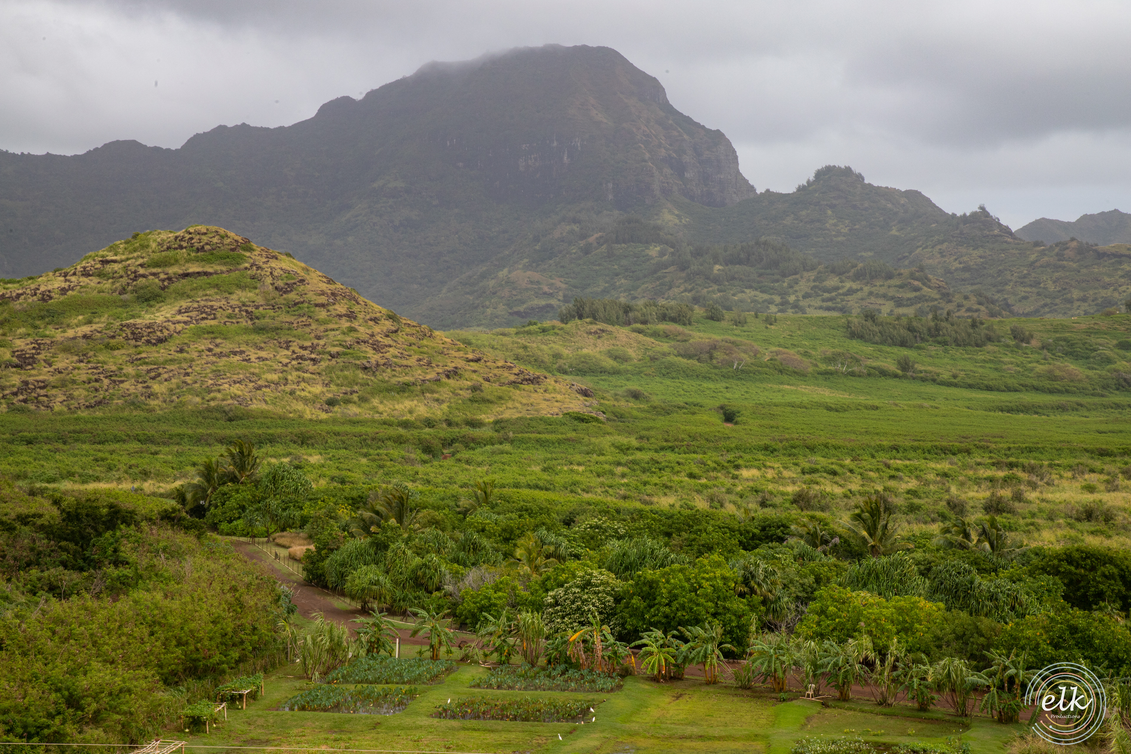 Green expanse 1. Kauai, HI.