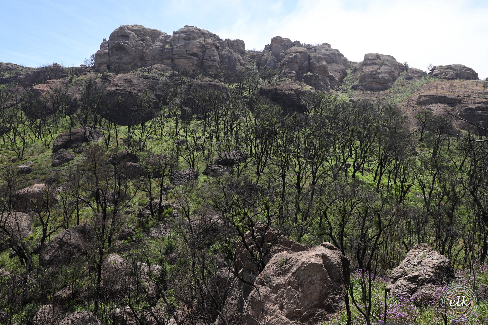 Malibu hills 2. Malibu, CA.