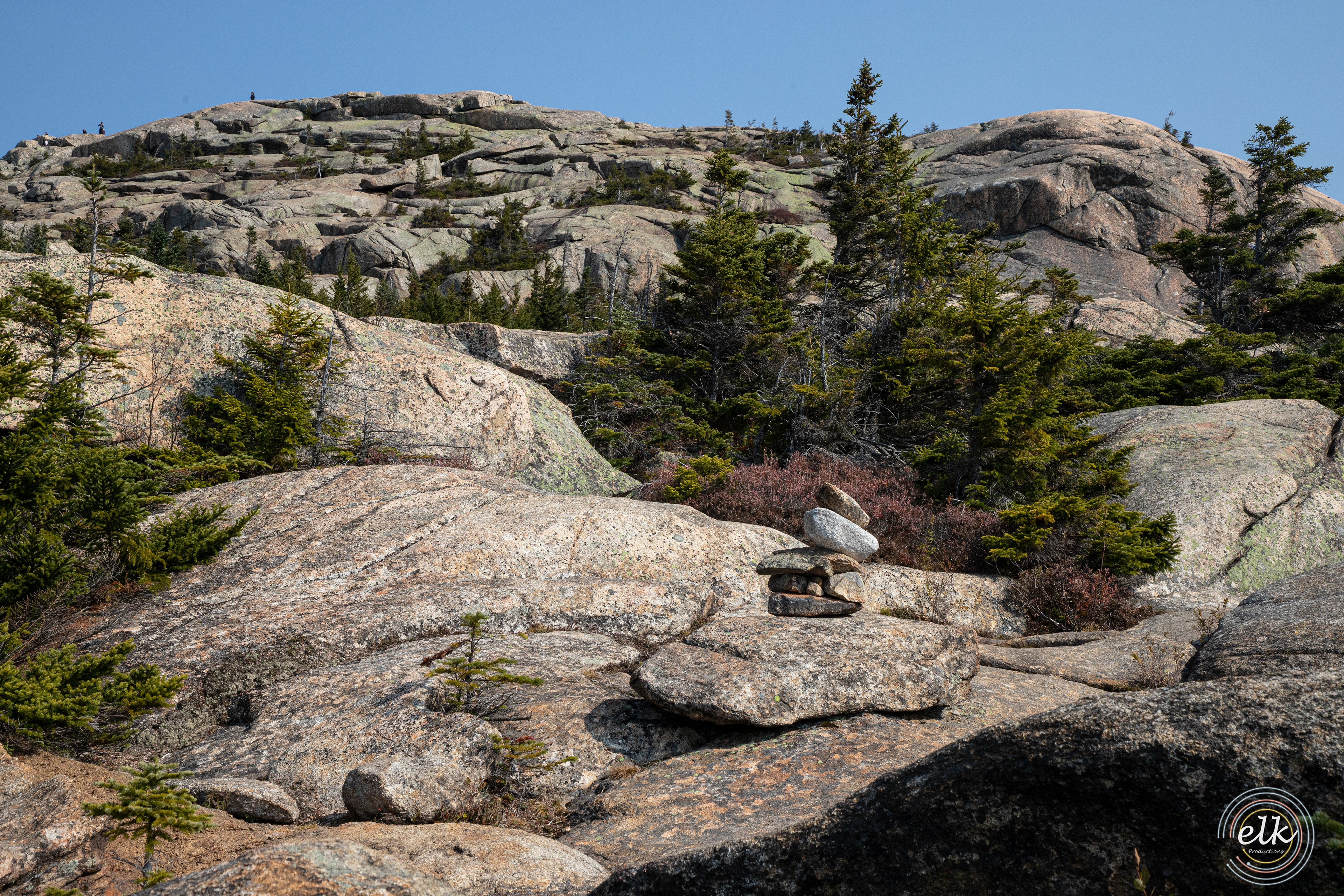 Trail texture 2. White Mountains, NH.