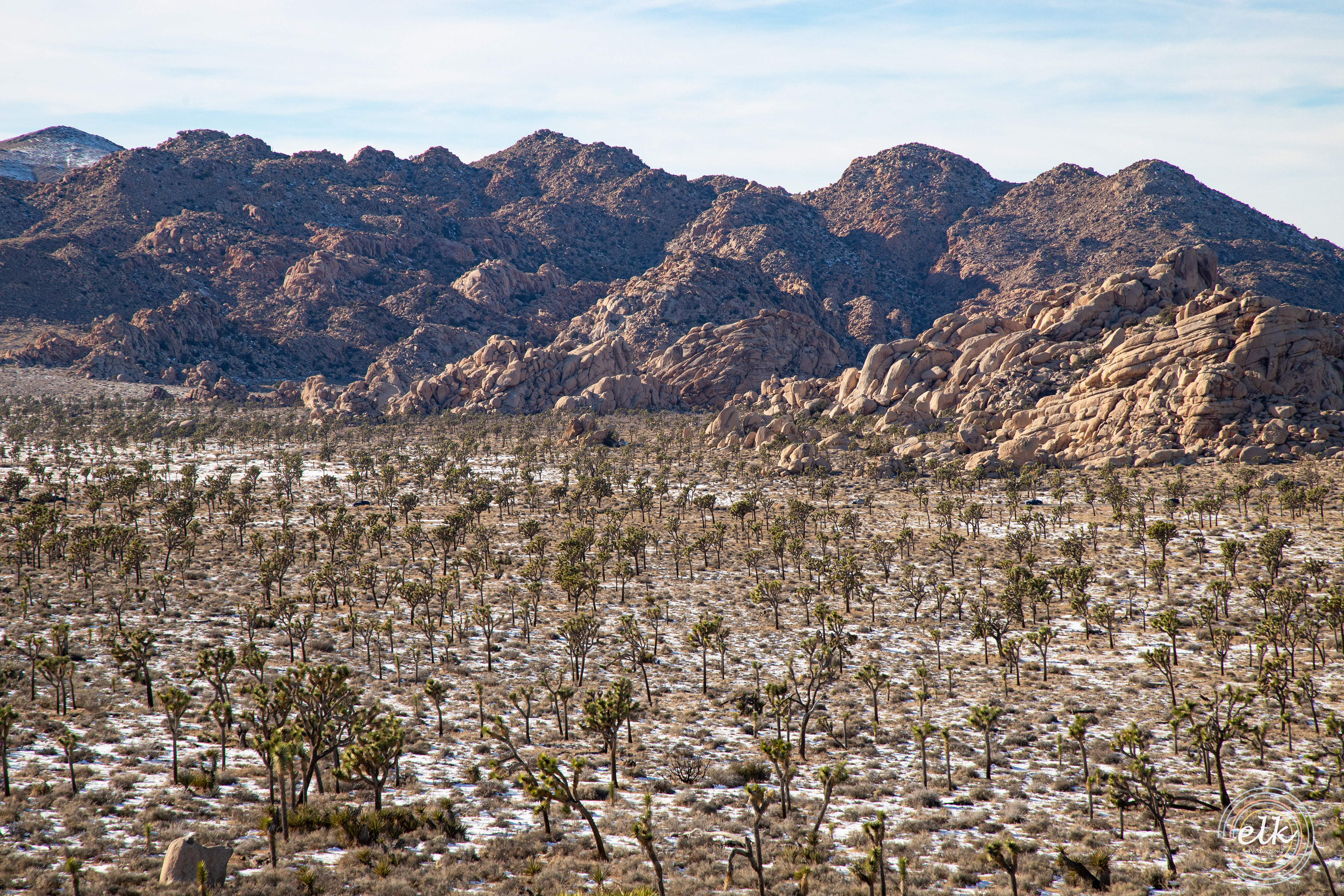 A beautiful wasteland. Joshua Tree NP, 