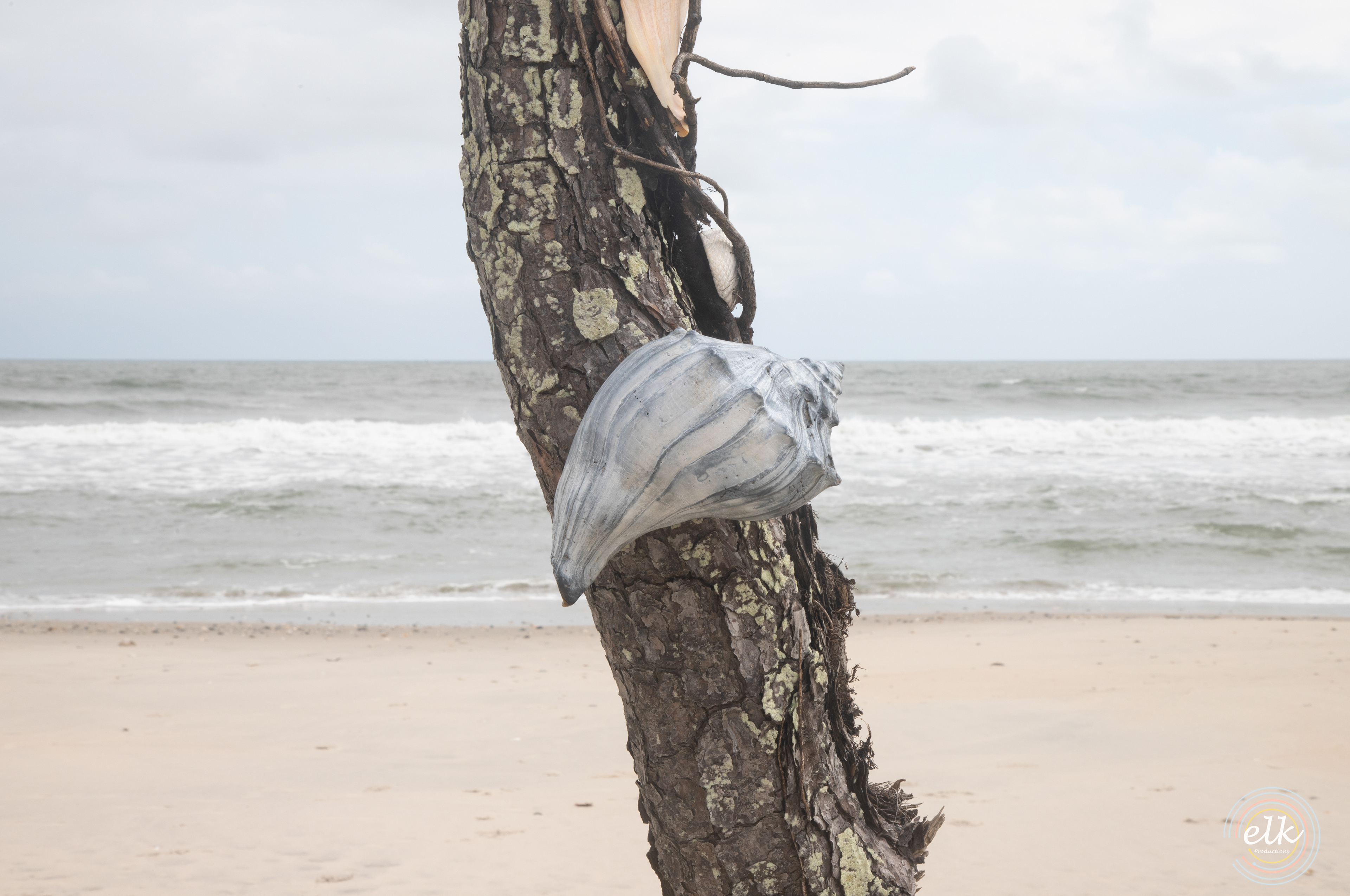 Proportions. Chincoteague, VA.