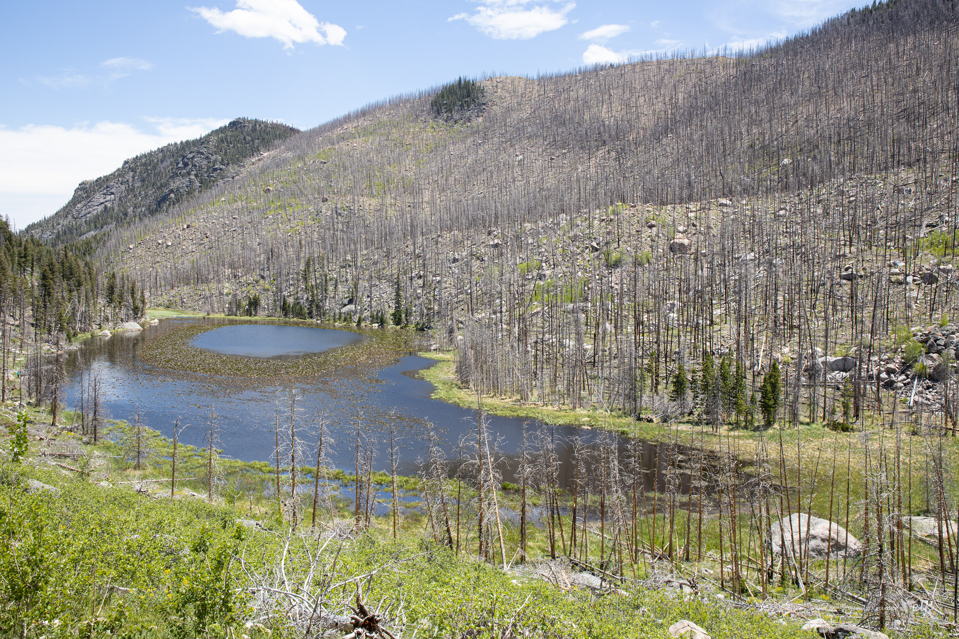 Cub lake after a fire. Rocky Mountain NP, CO.