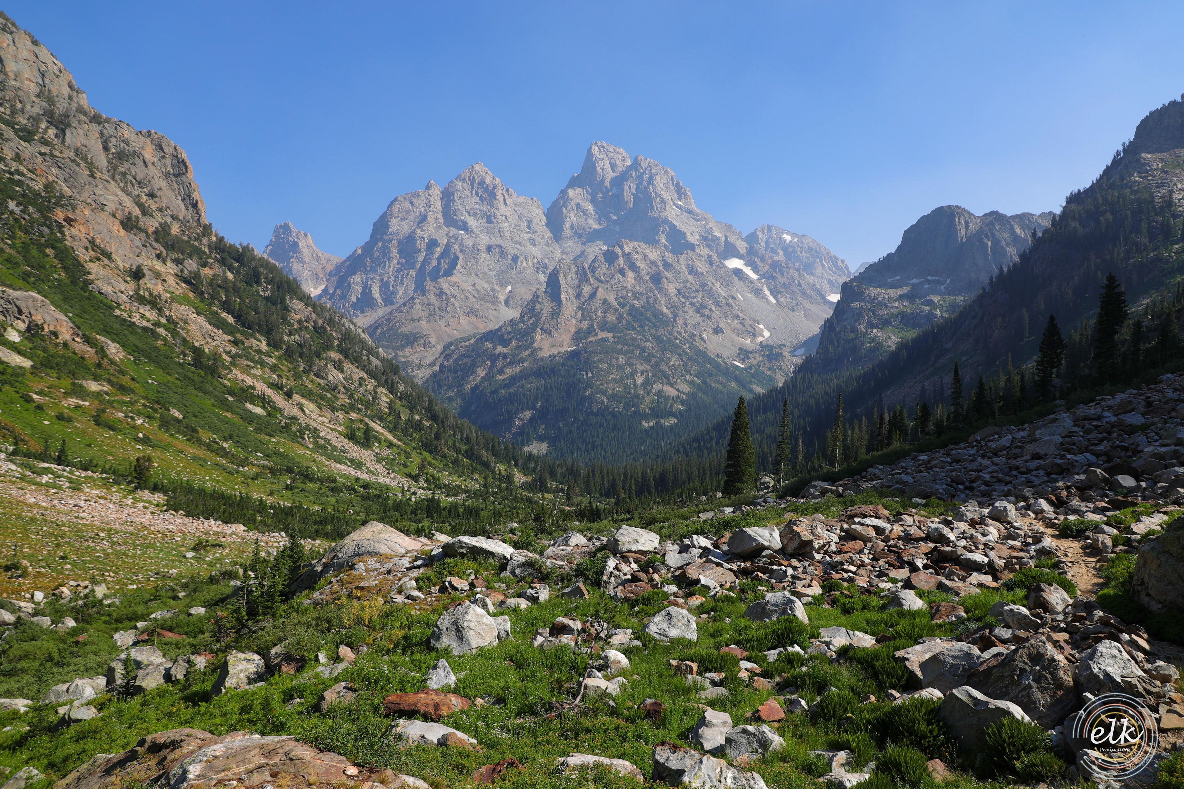 Grand's back. Grand Teton NP, WY.