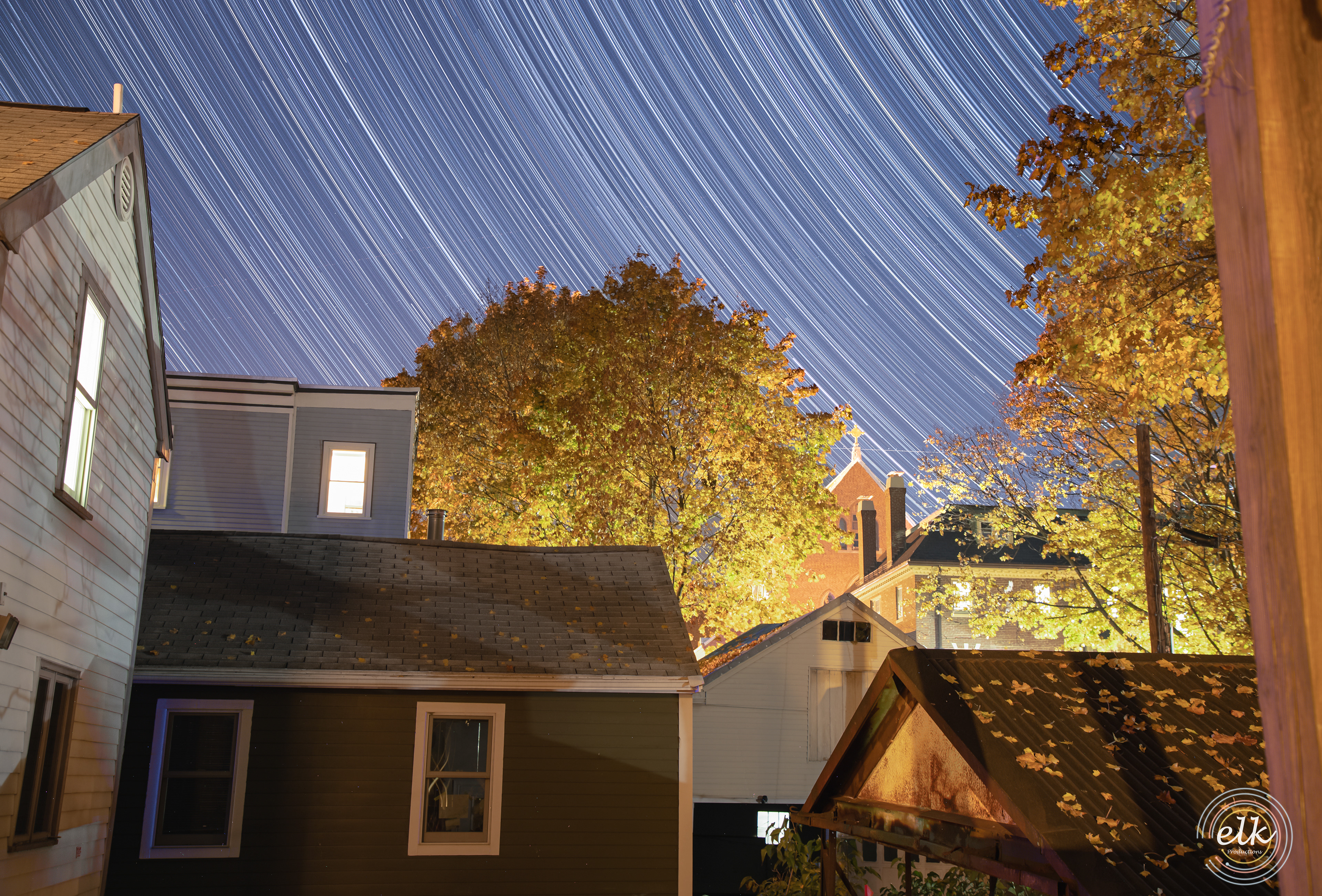 Porch trails. Cambridge, MA.