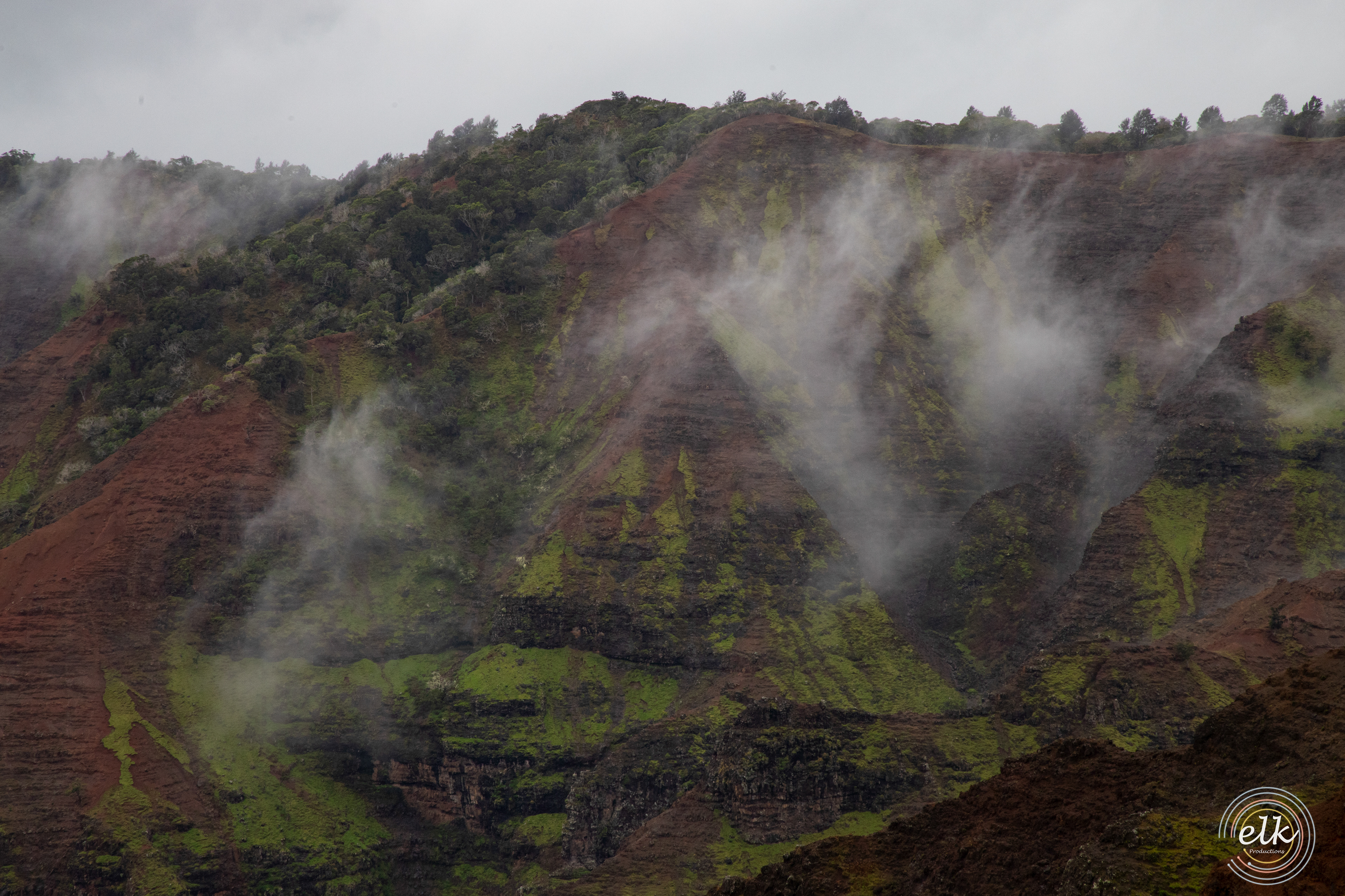 Waimea fog. Kauai, HI.