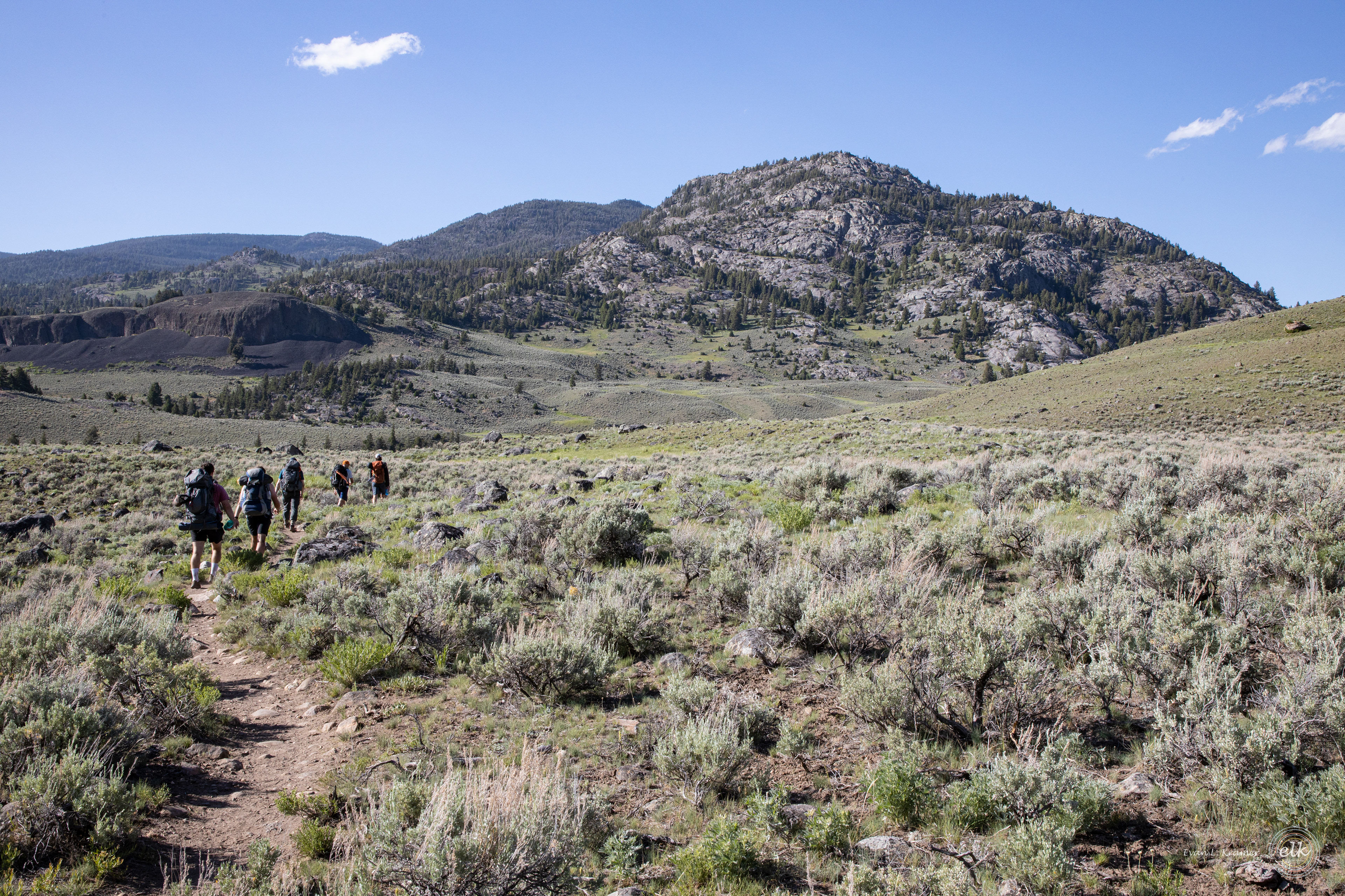 Yellowstone wilderness. Yellowstone NP, WY.