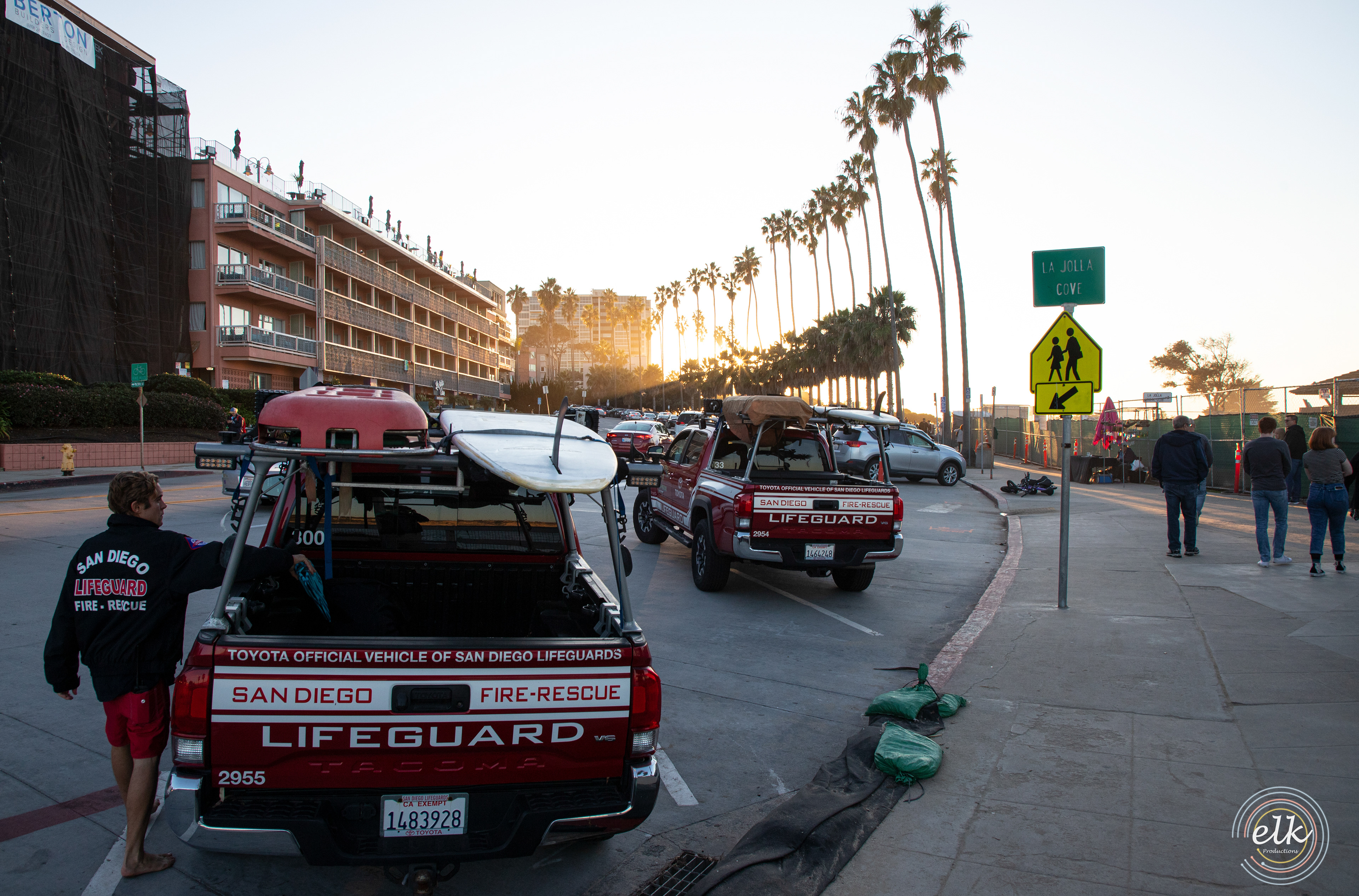 Palm trees and  sunset. San Diego, CA.