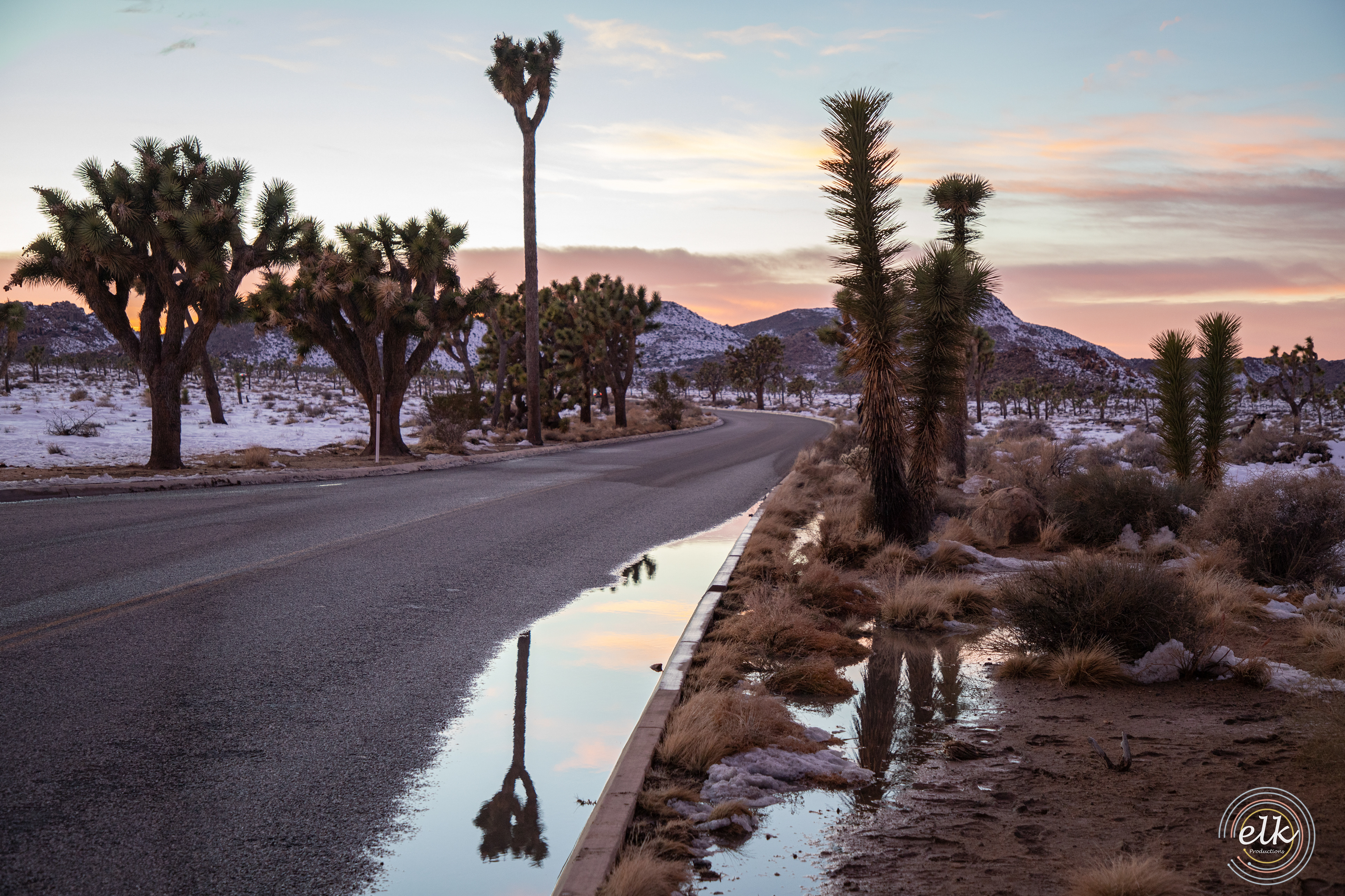 An alien landscape at sunset. Joshua Tree NP, CA.