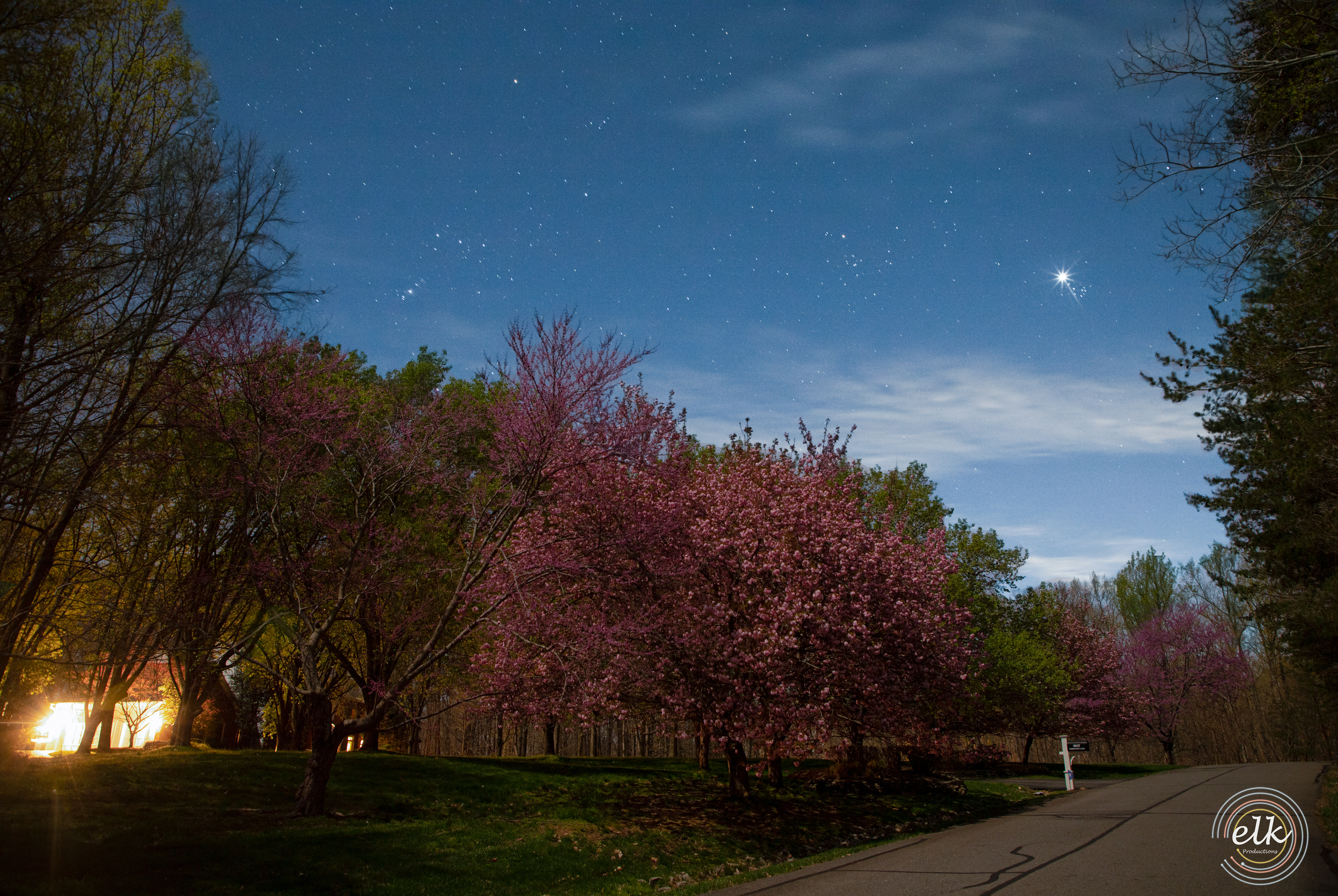 Orion and Venus above my street. Fairfax Station, VA.