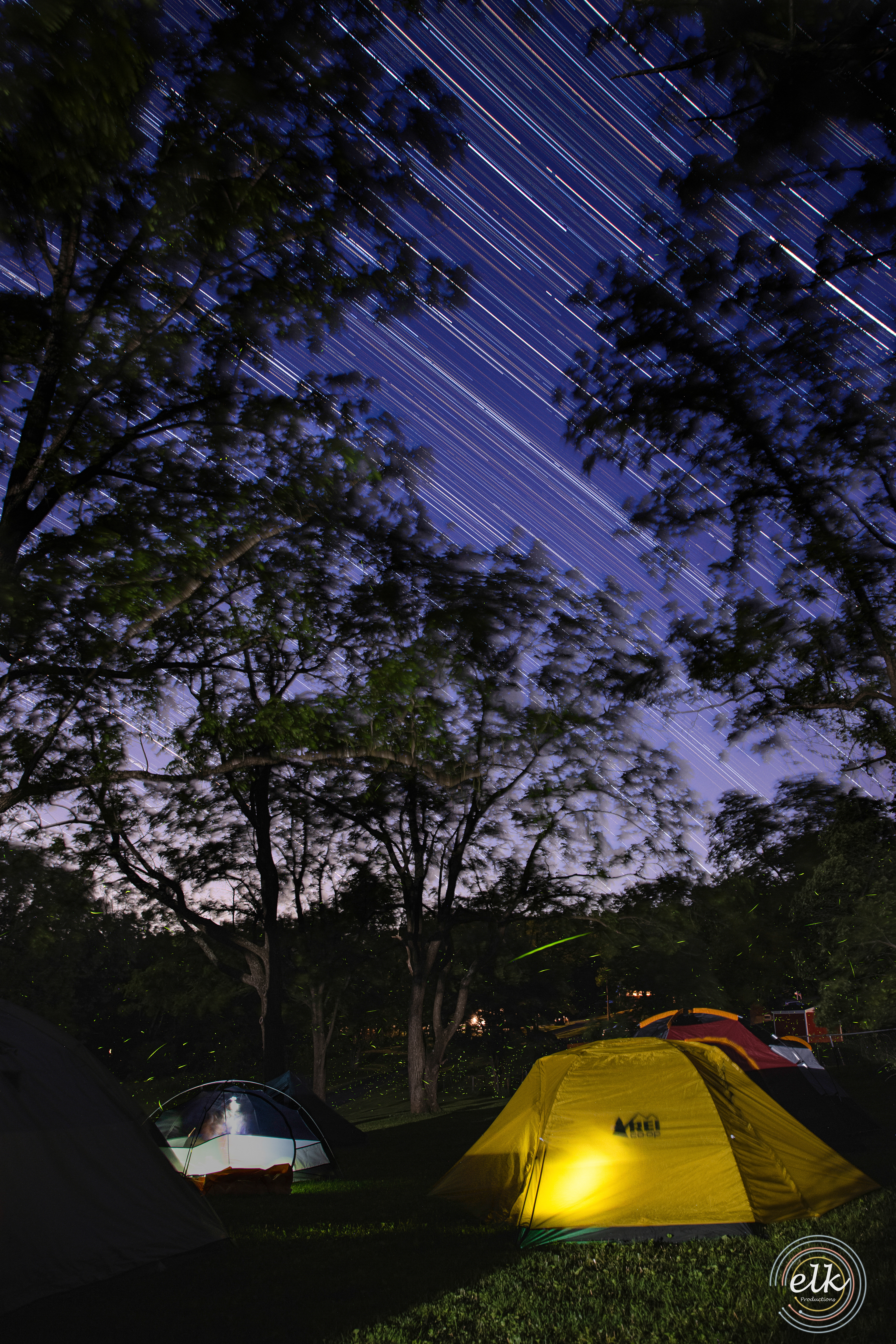 Star trails and fireflies. Bel Air, MD.