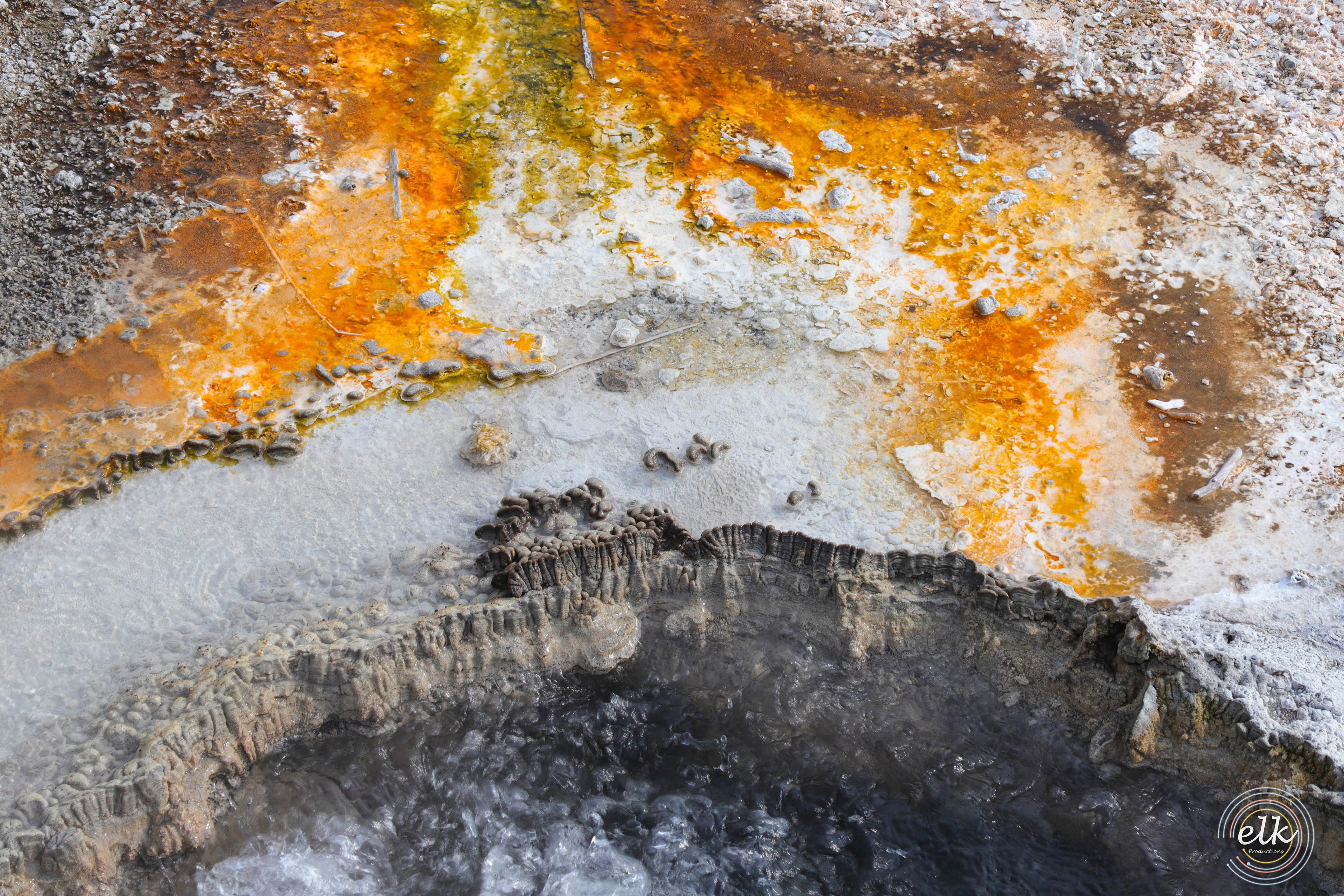 Geyser basin rim. Yellowstone NP, WY.