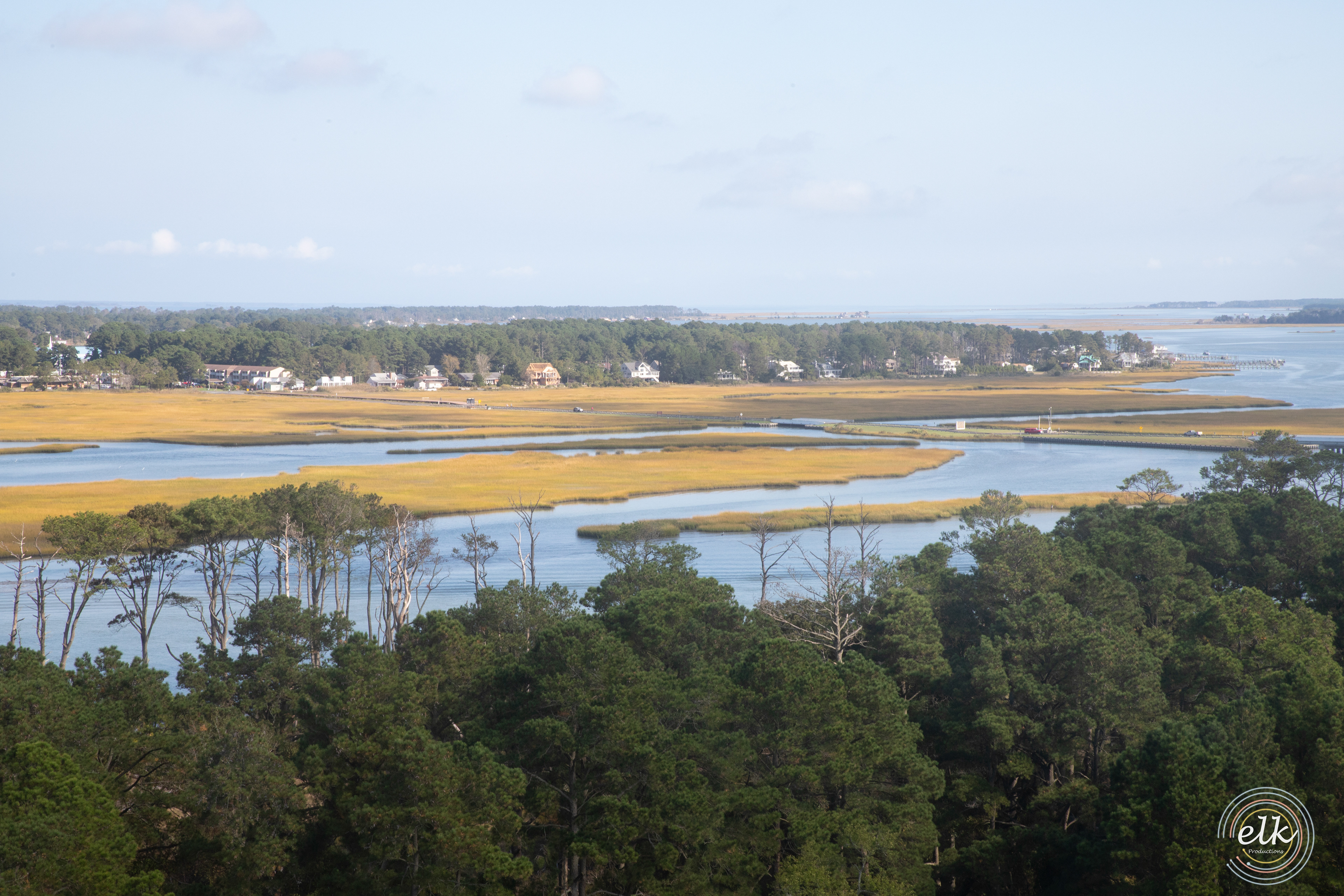 Marshland. Chincoteague, VA.