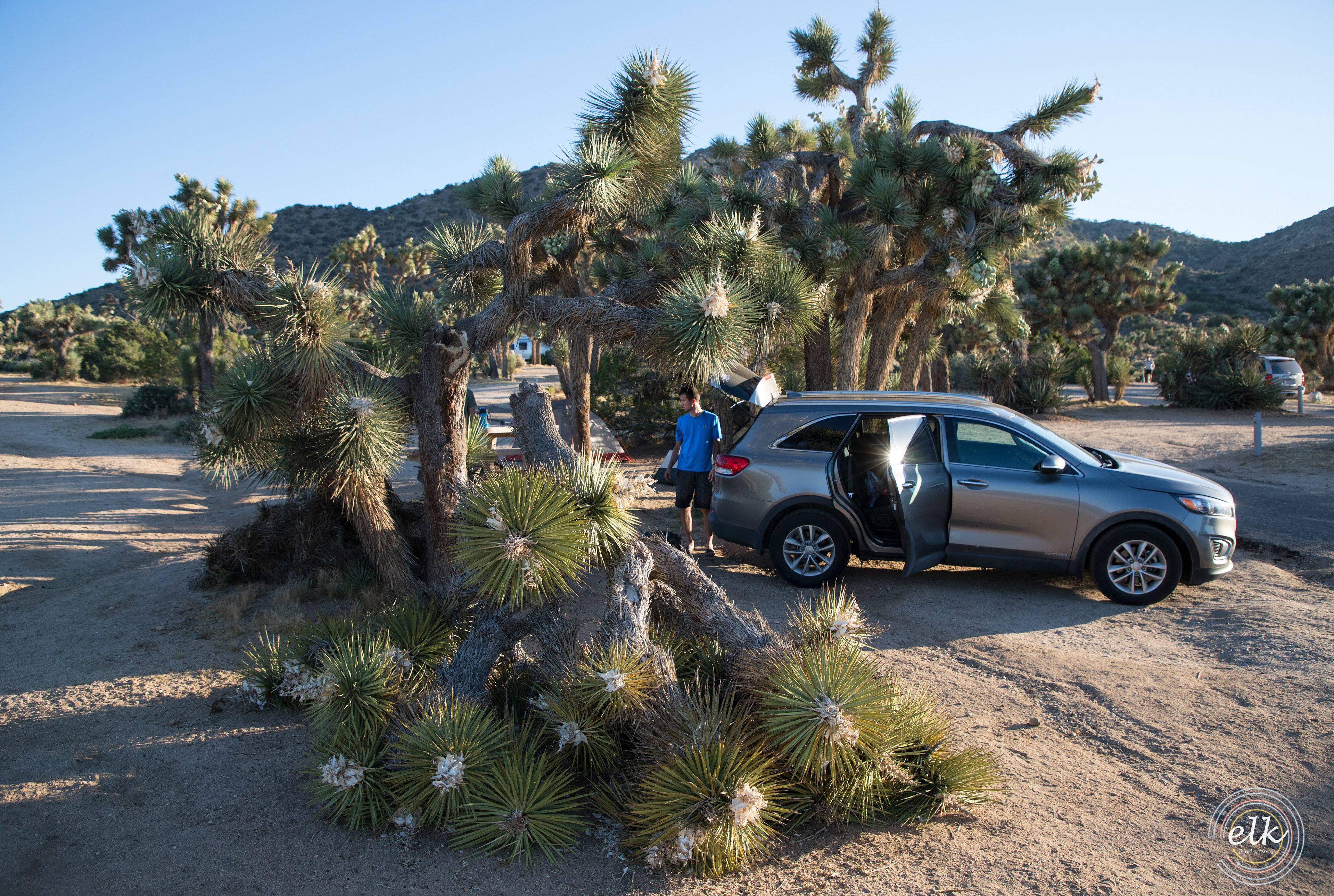 Unpacking at Black Rock Campground. Joshua Tree NP, CA.