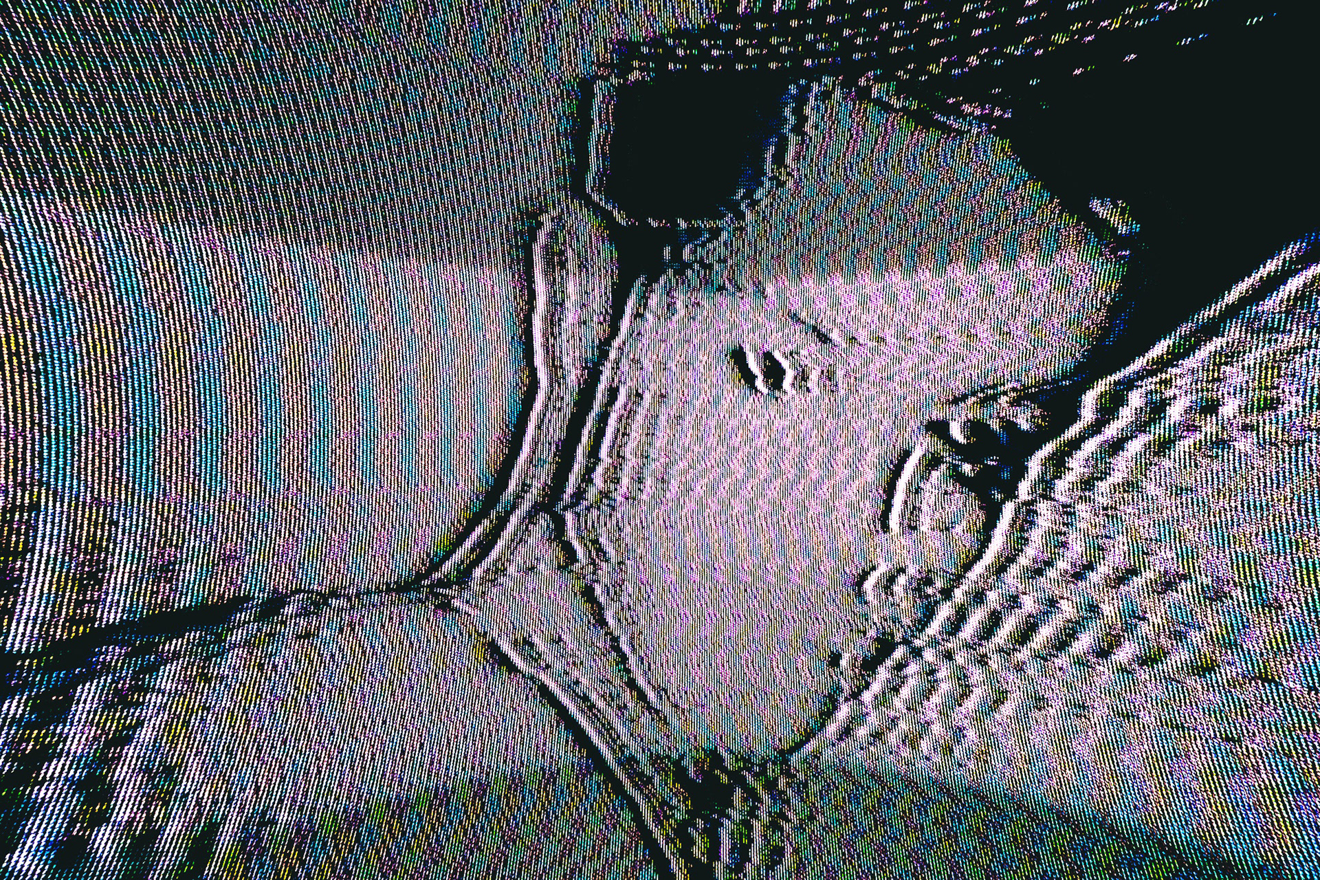 Florian on screen