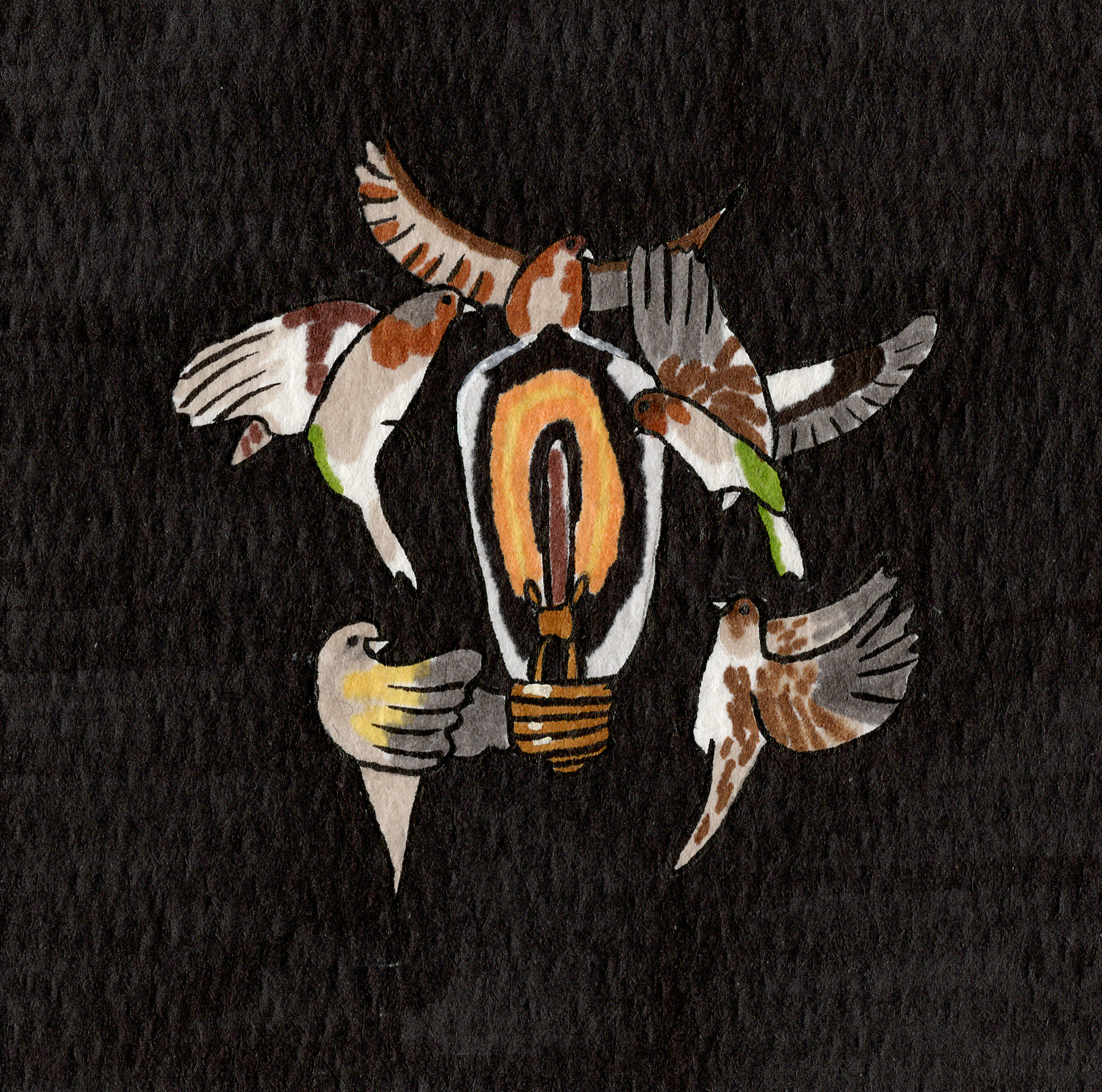 Entropy by The Collection
