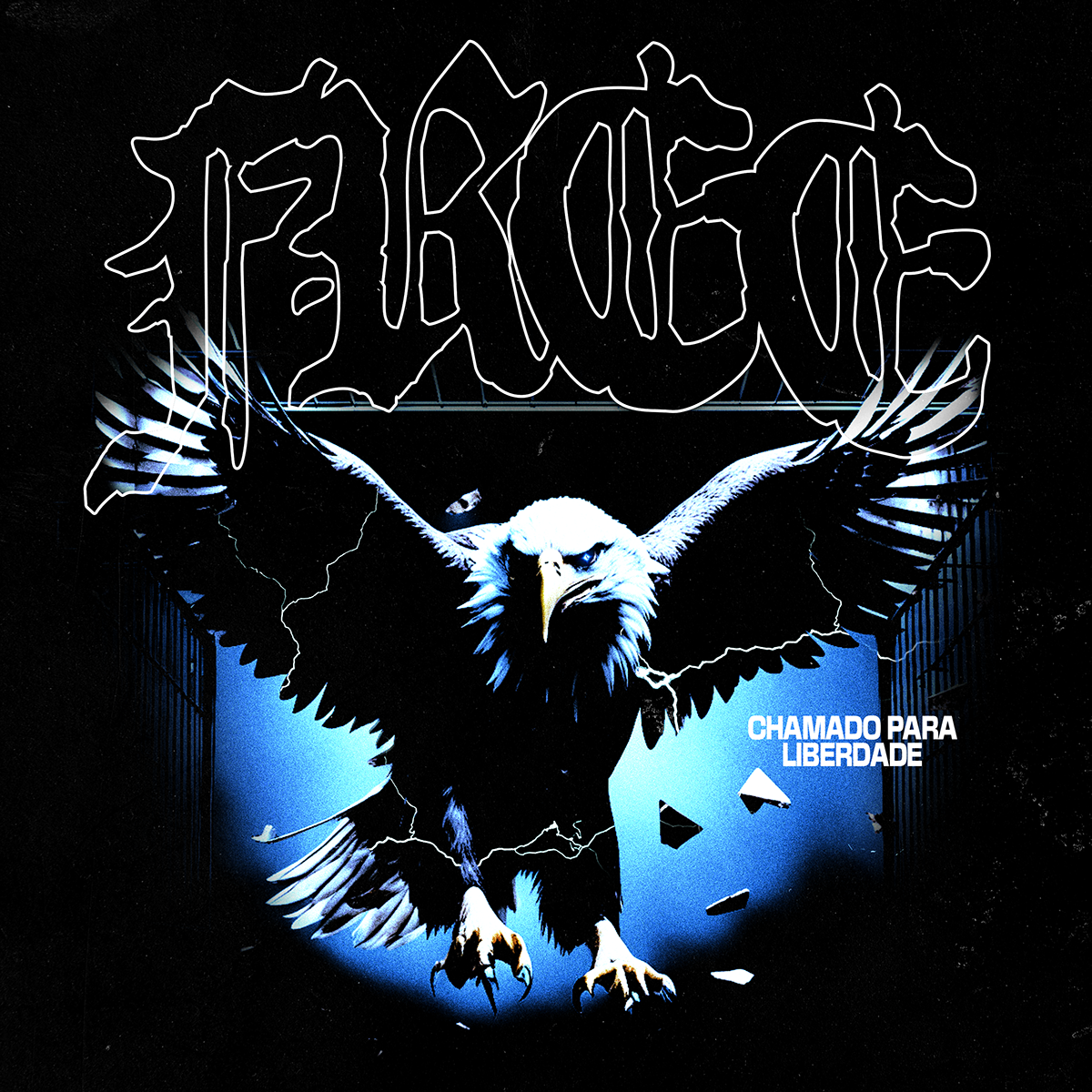 LLC FLAME "EAGLE" CLOSE UP