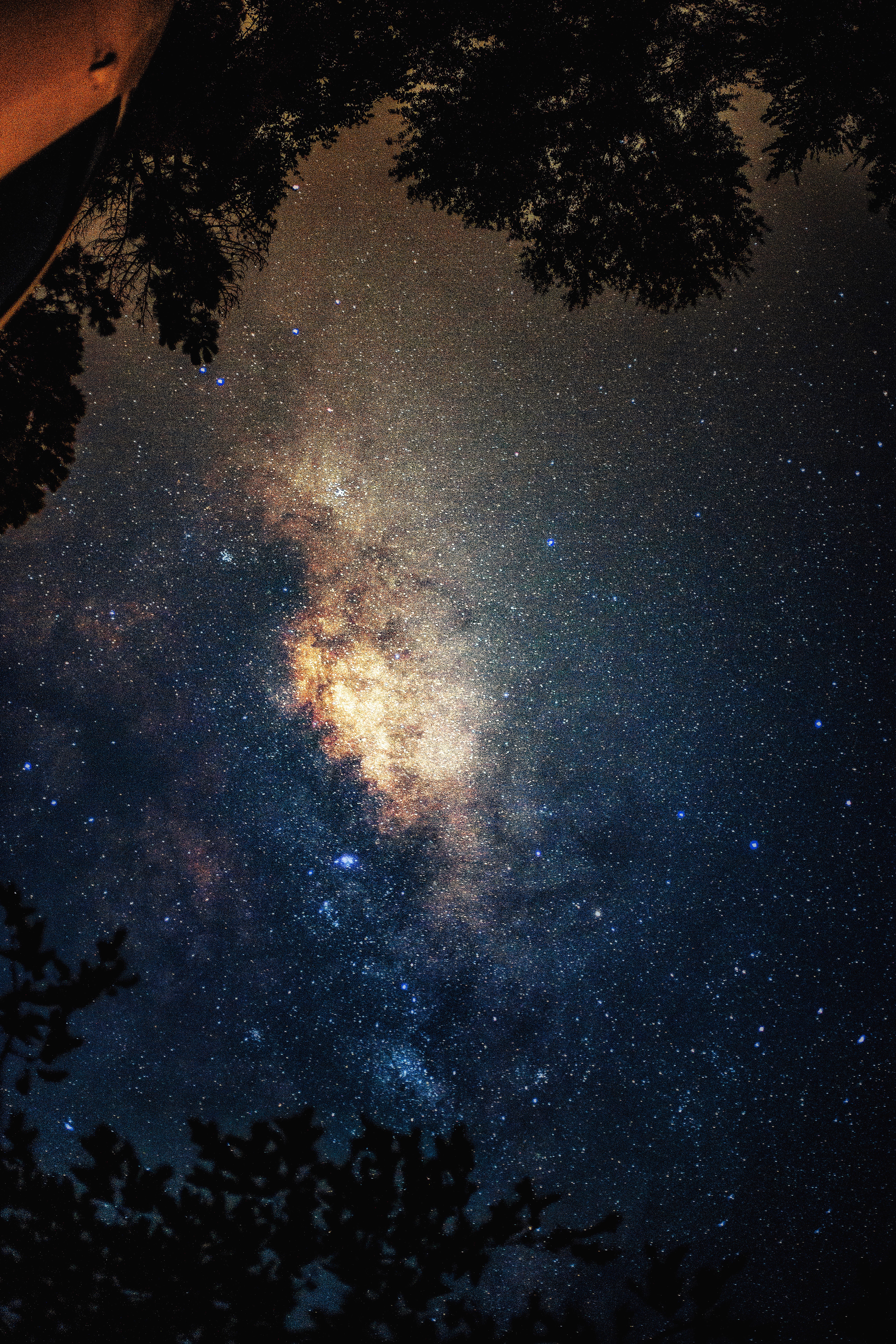 milky way neverland