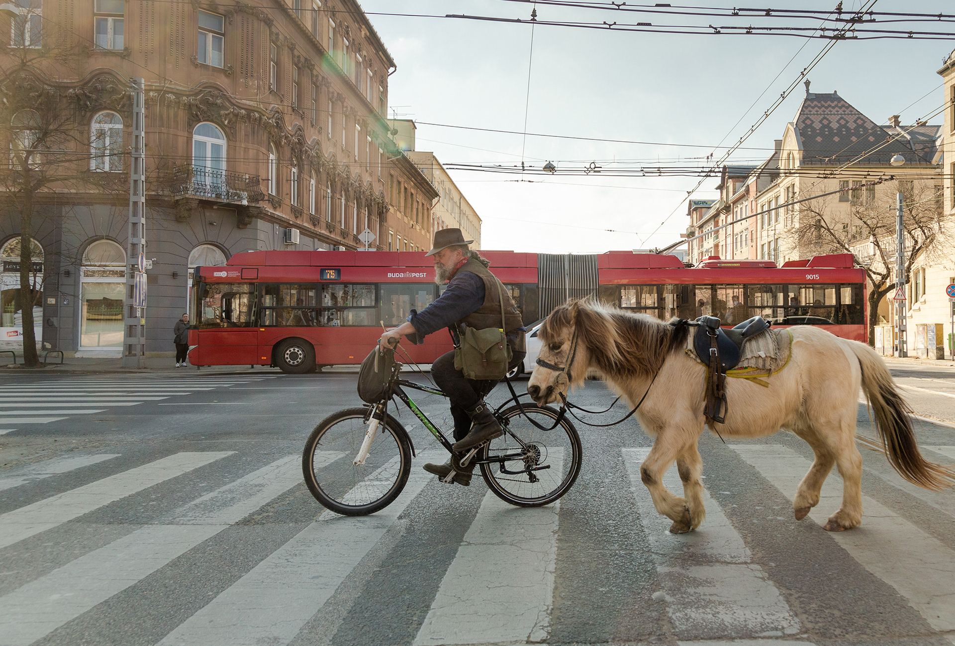 URBANS AND NOMADS, BUDAPEST, 2021