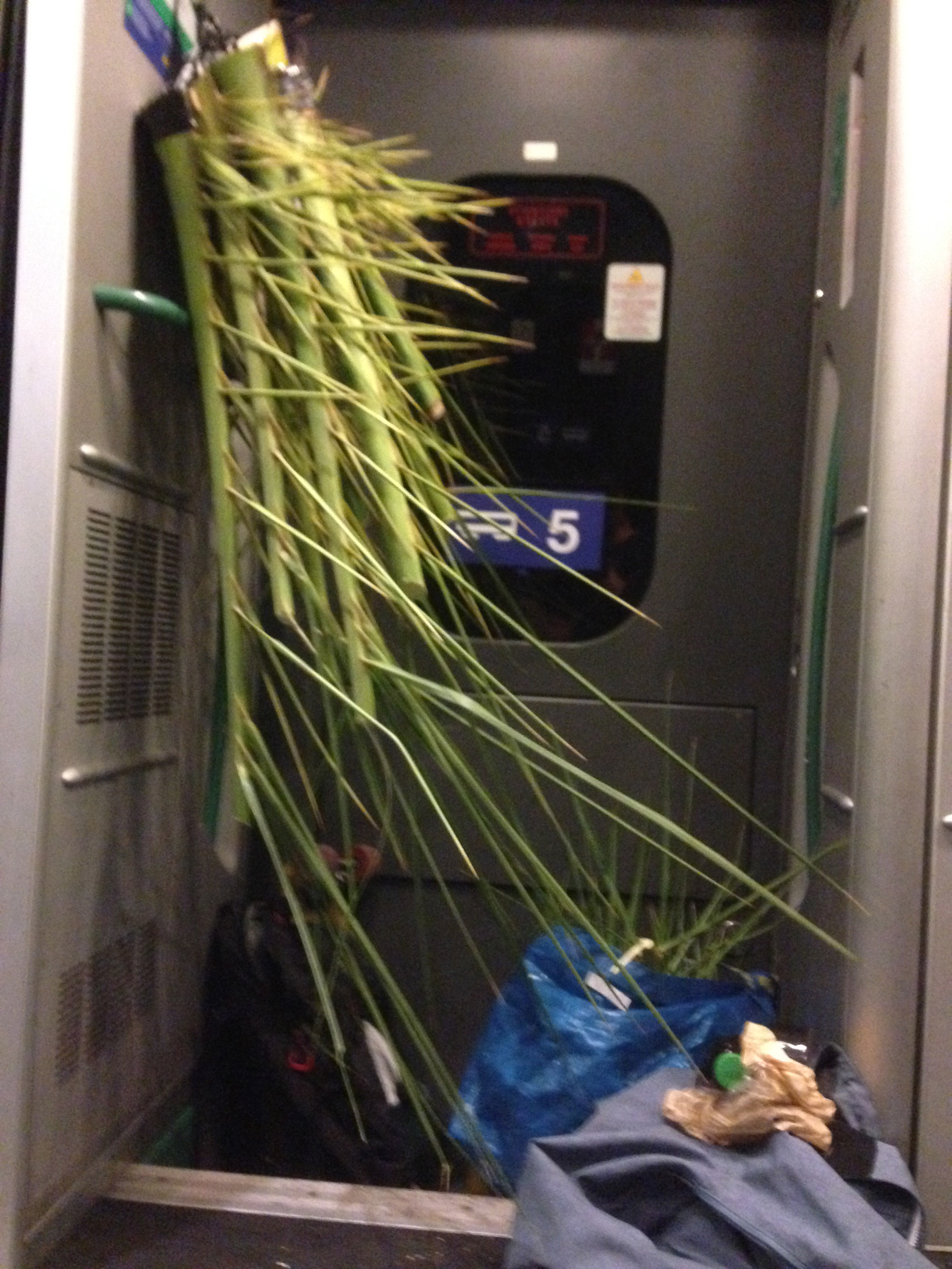 toxic spikes in the train