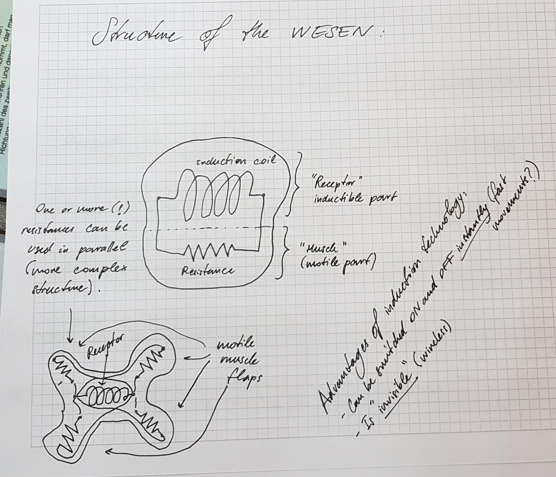 2 sketches from Alex Cardoso de Oliveira, ETH master biology student