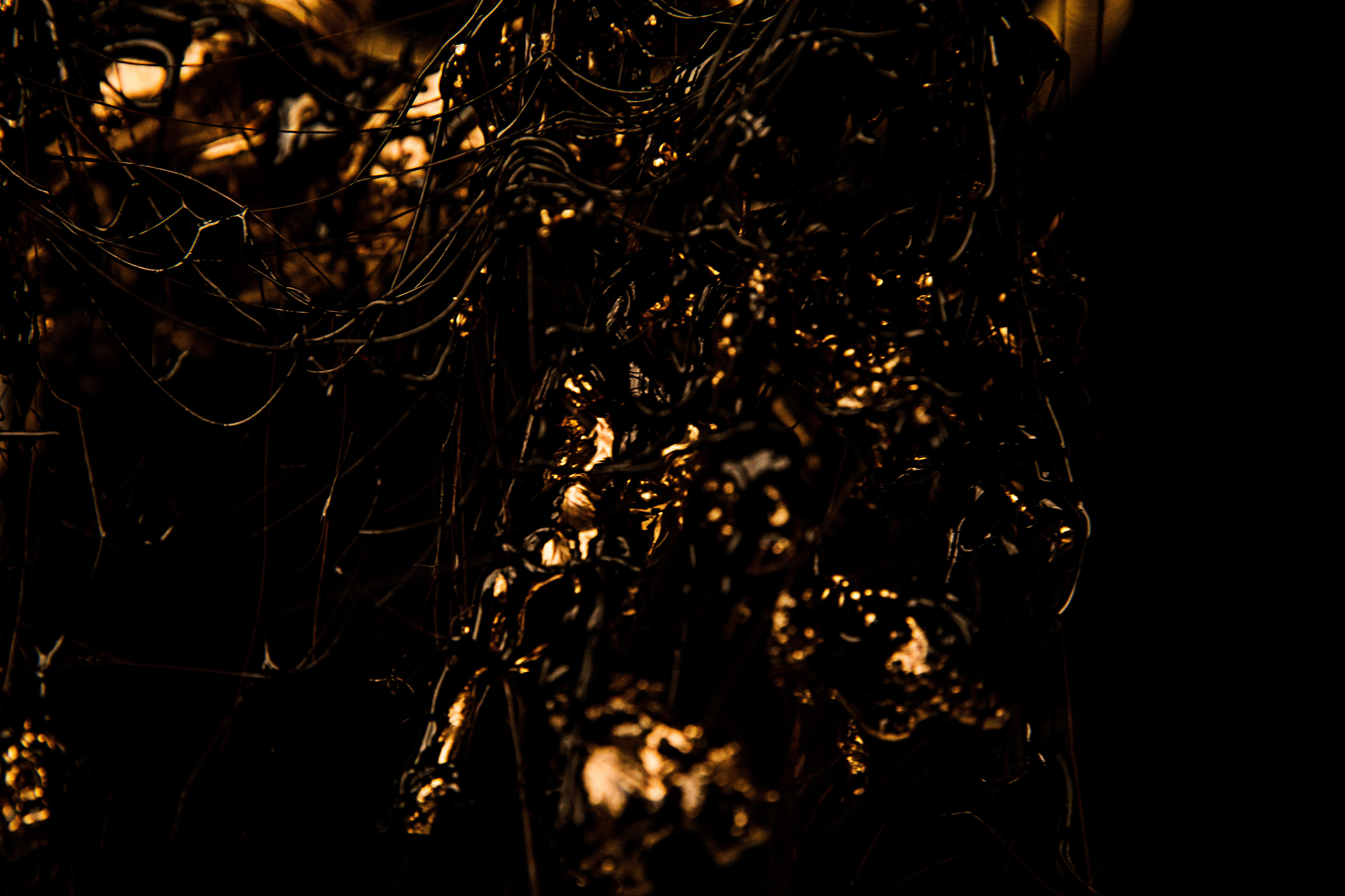 3D plastic, sugar and golden color