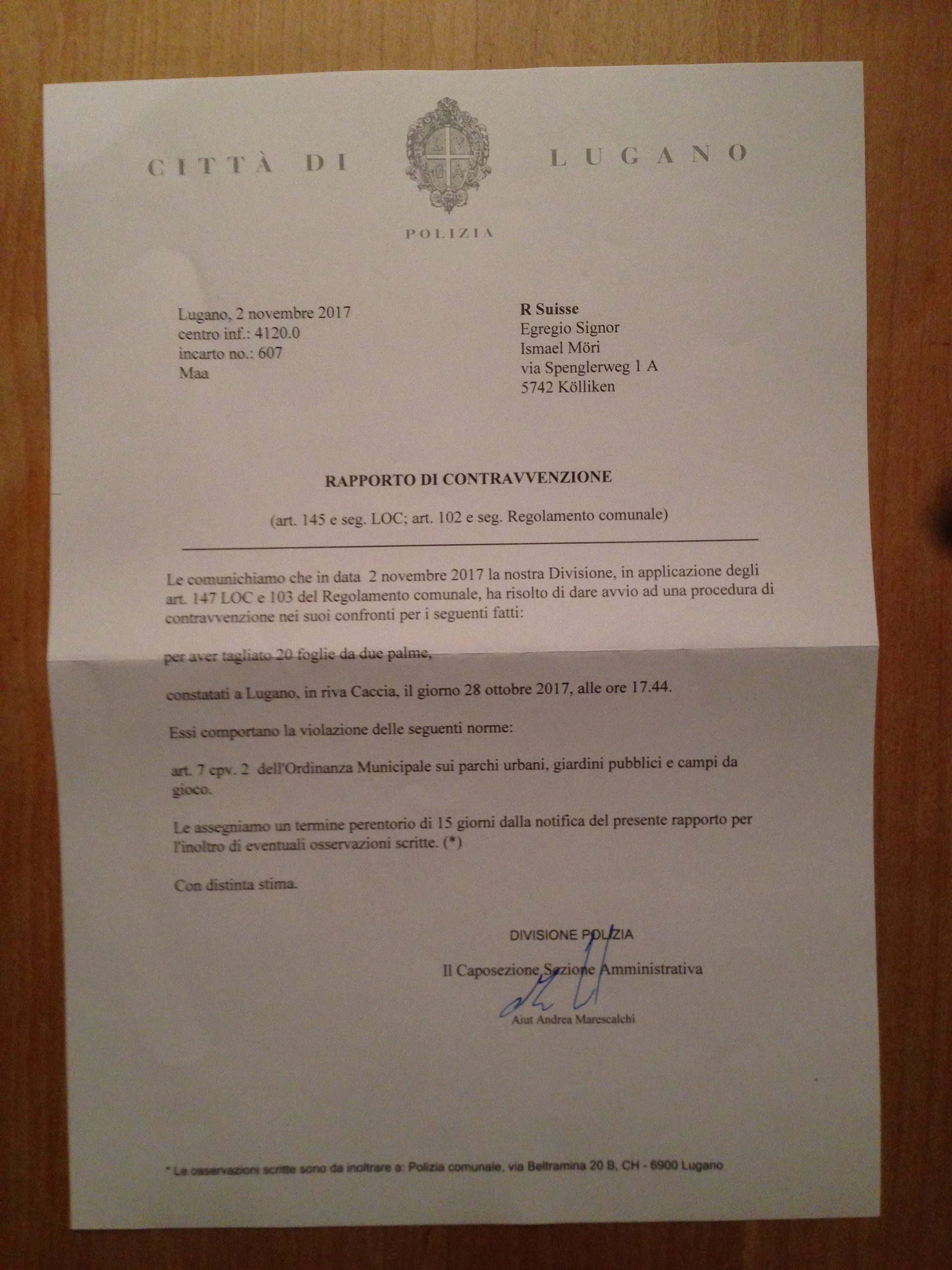 certificate of the palm leaves