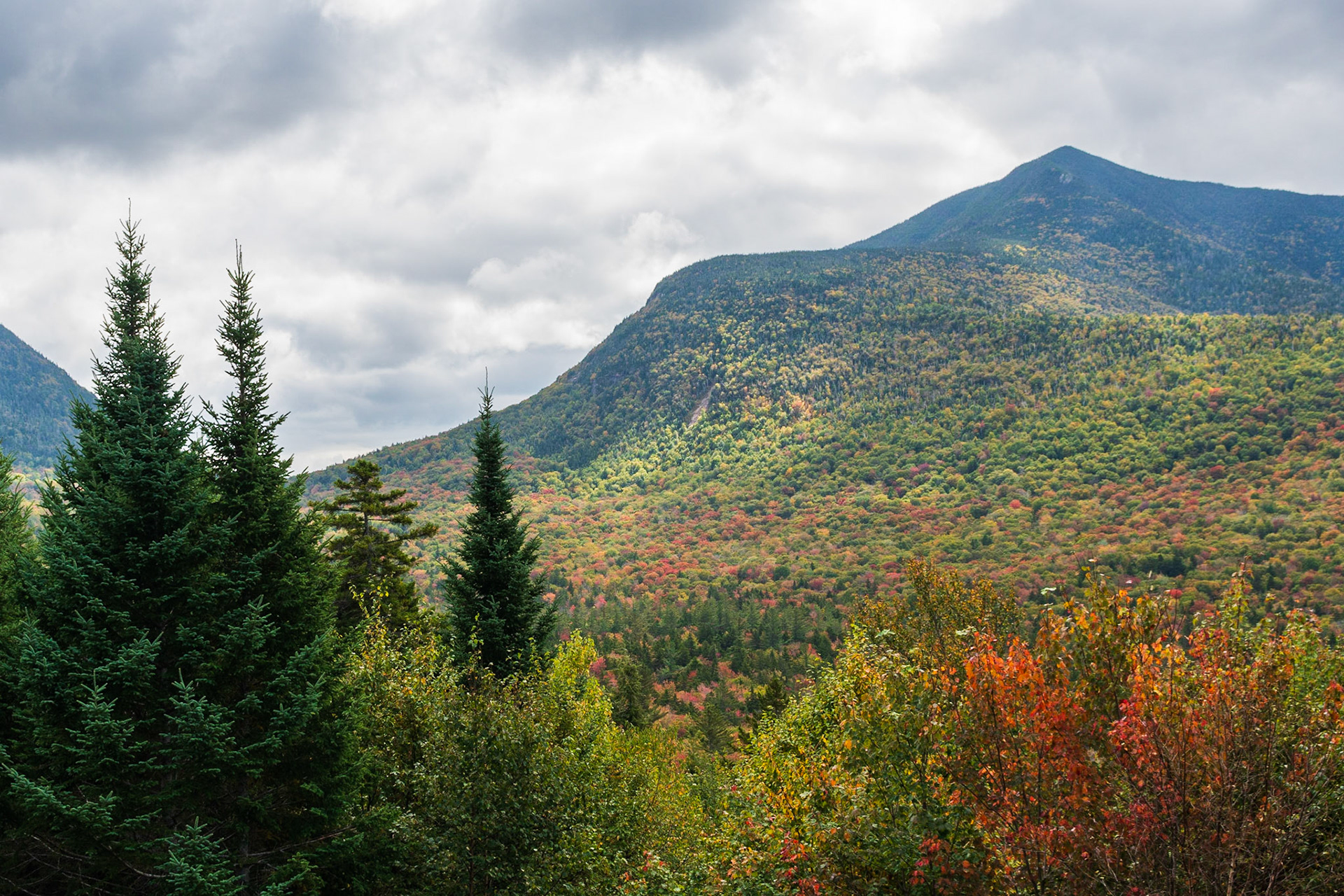 White Mountains