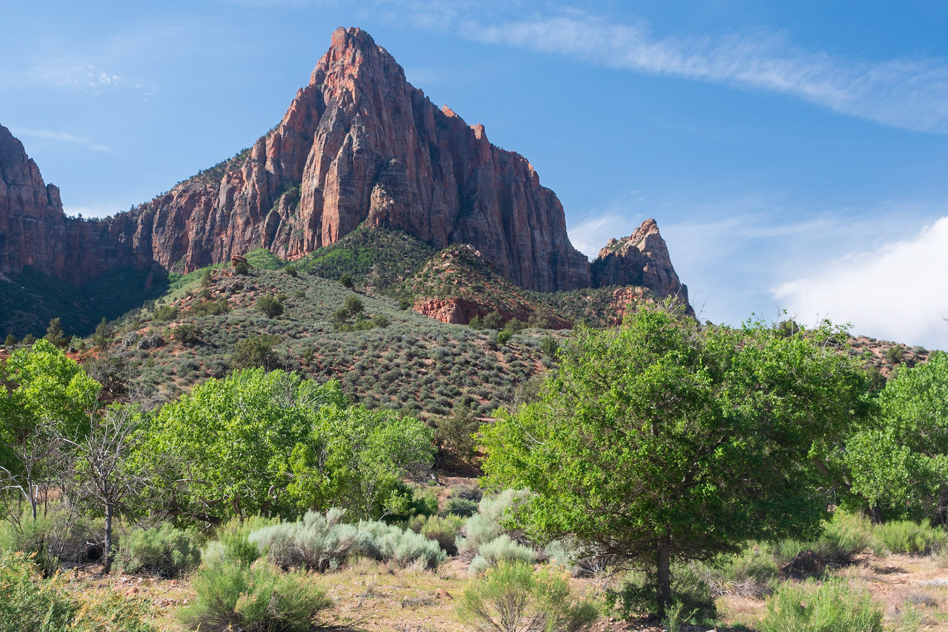 The Watchman
