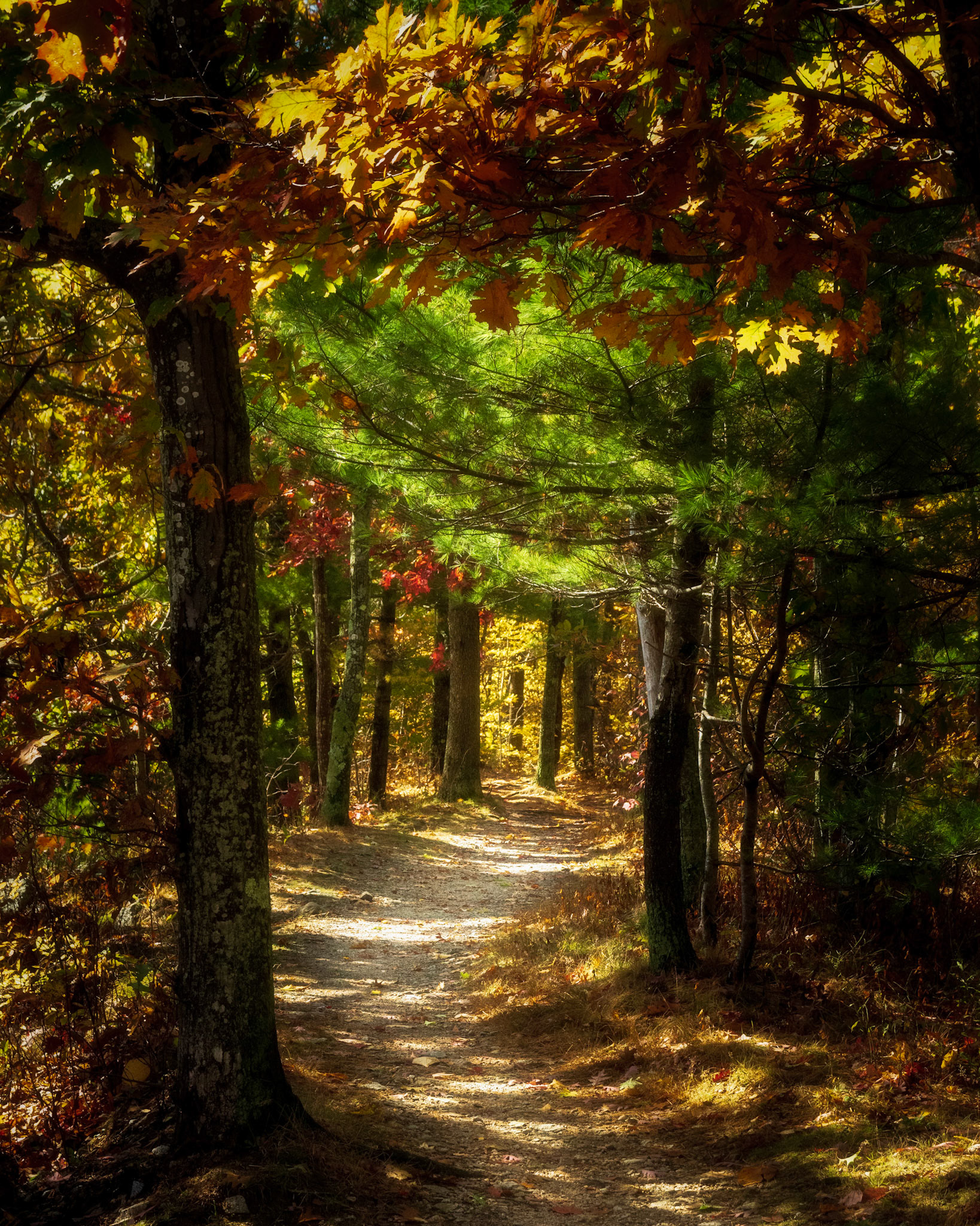 Quarry Road, Rockport, MA