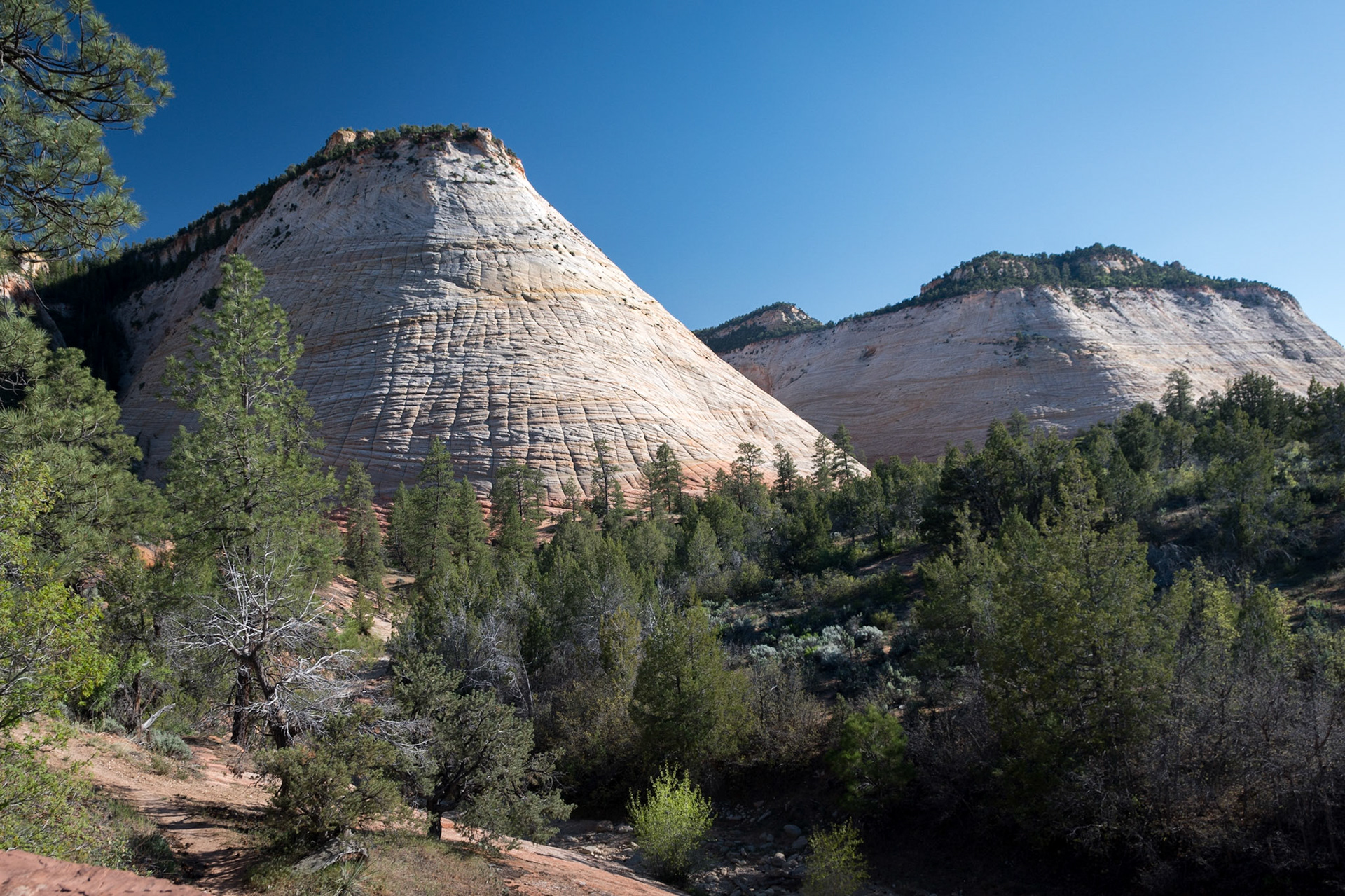 Checkerboard Mesa