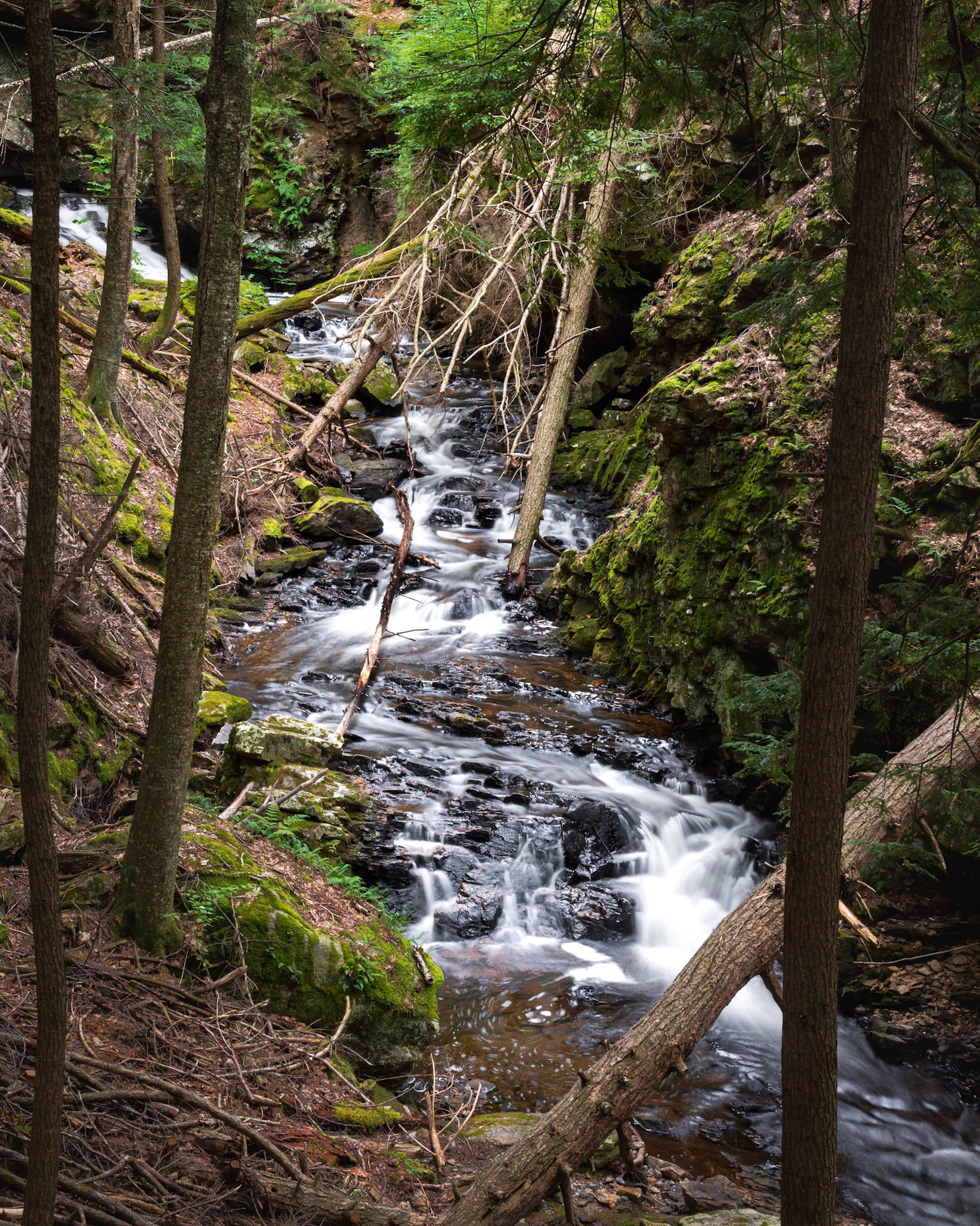 Chesterfield Gorge, NH, 2021