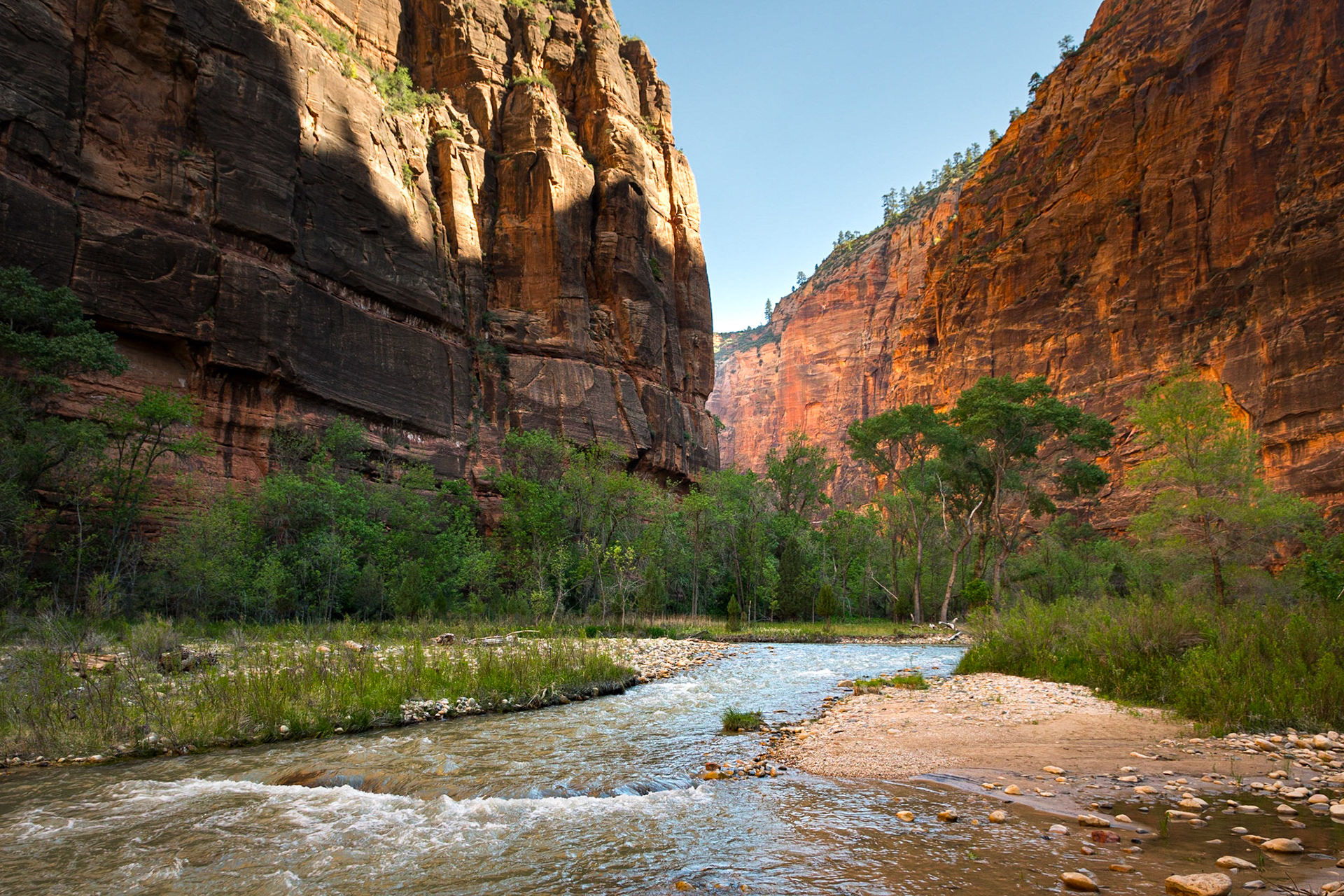 Red Canyon Walls, Zion NP