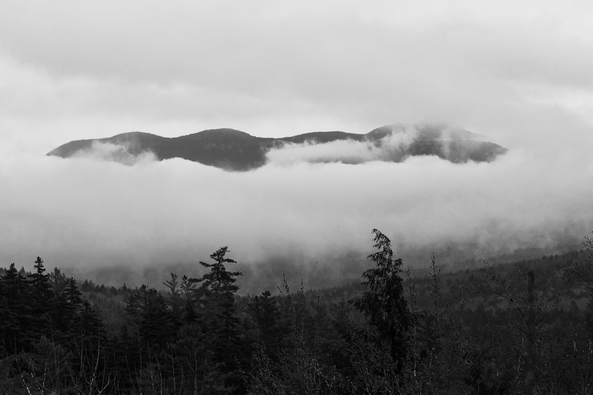 Peaks through the Clouds