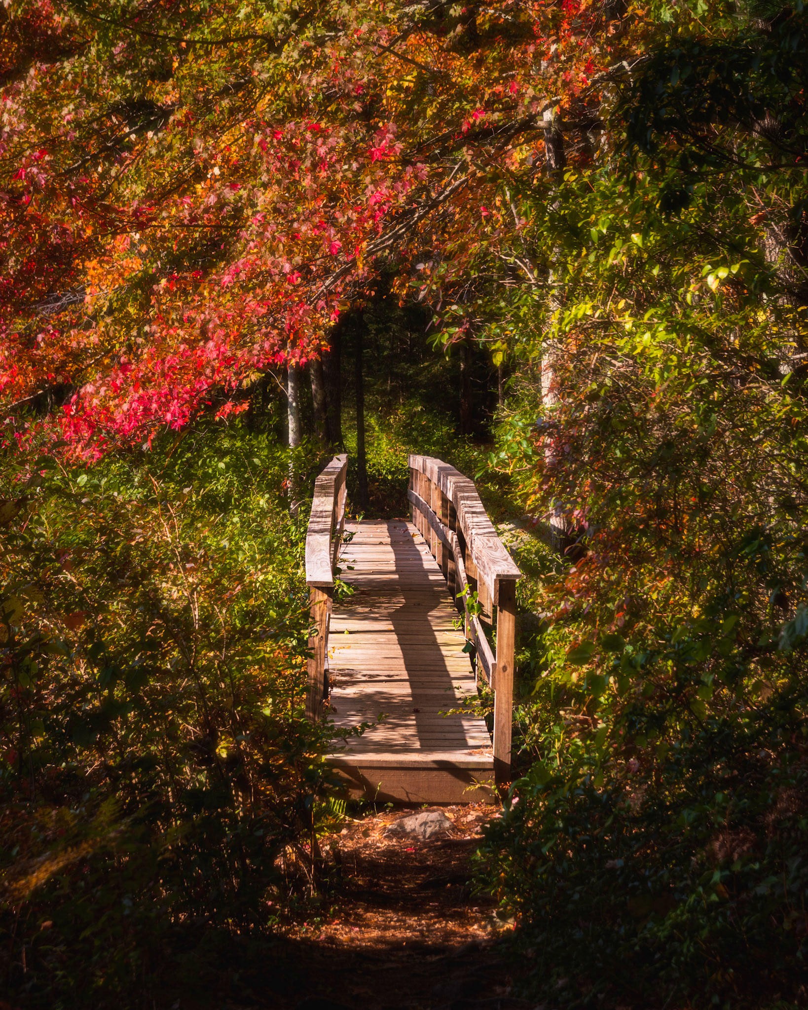 Autumn Stroll, Hollis, NH