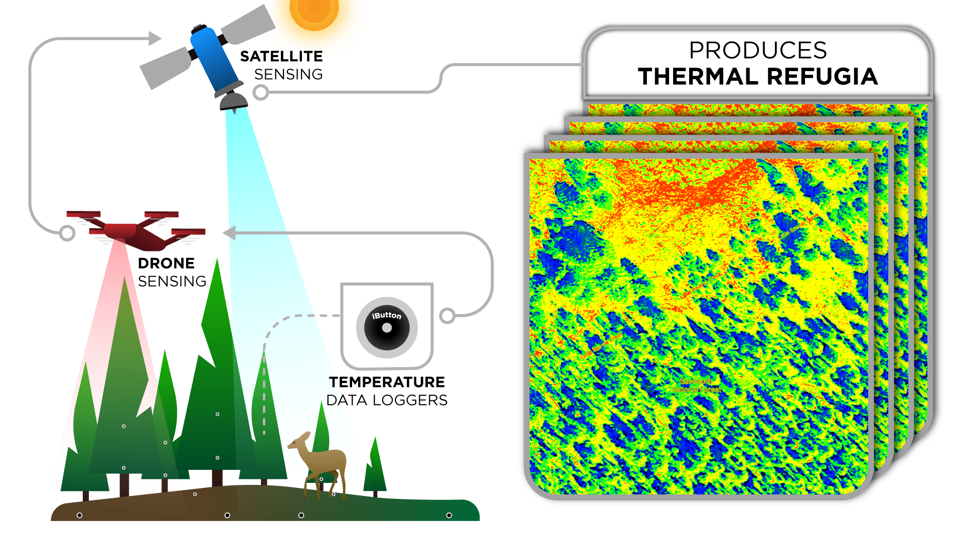 Thermal Refugia Quad Chart figure for researcher Dr. Arjan Meddens