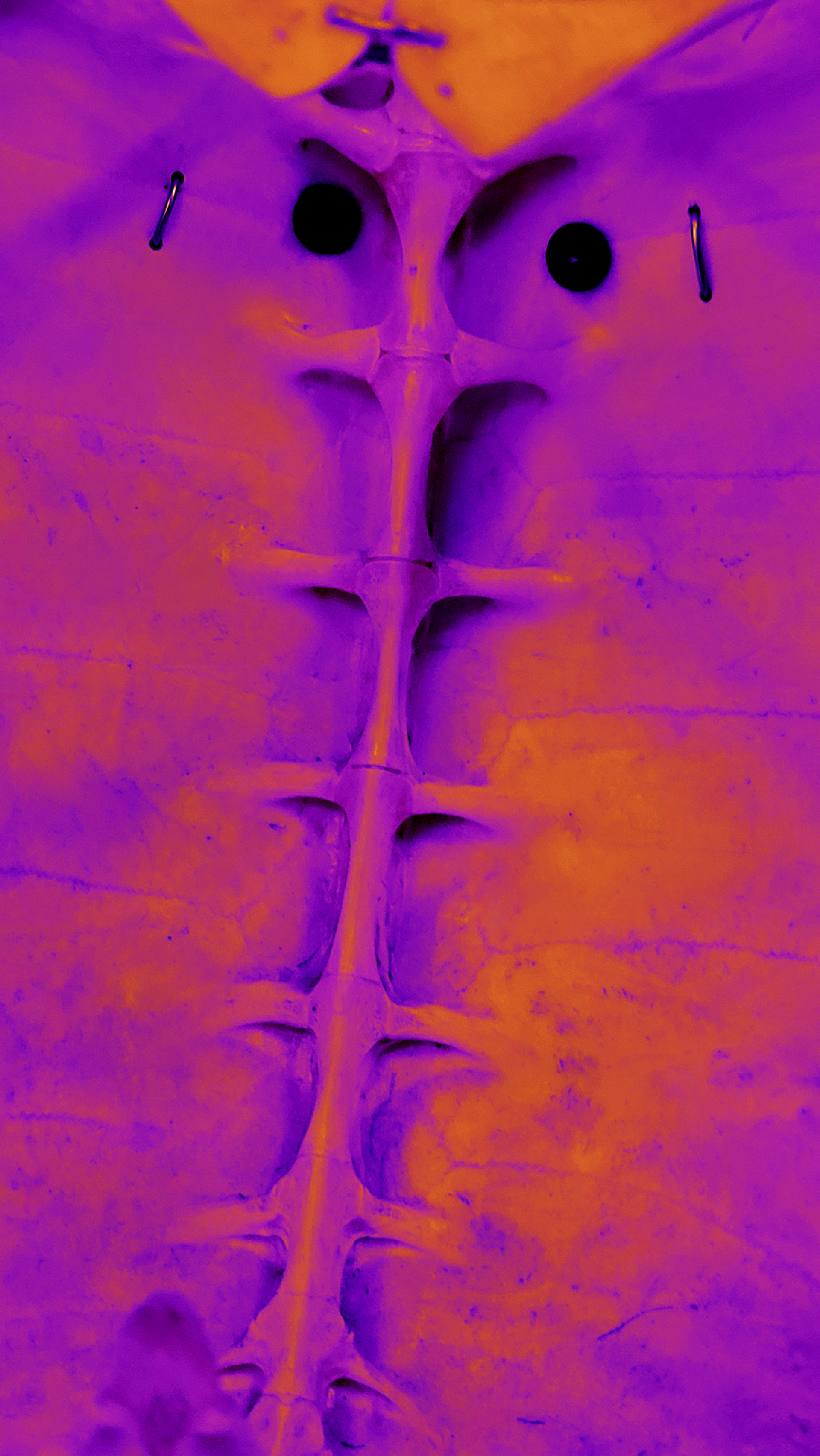 EX_1_5(4)