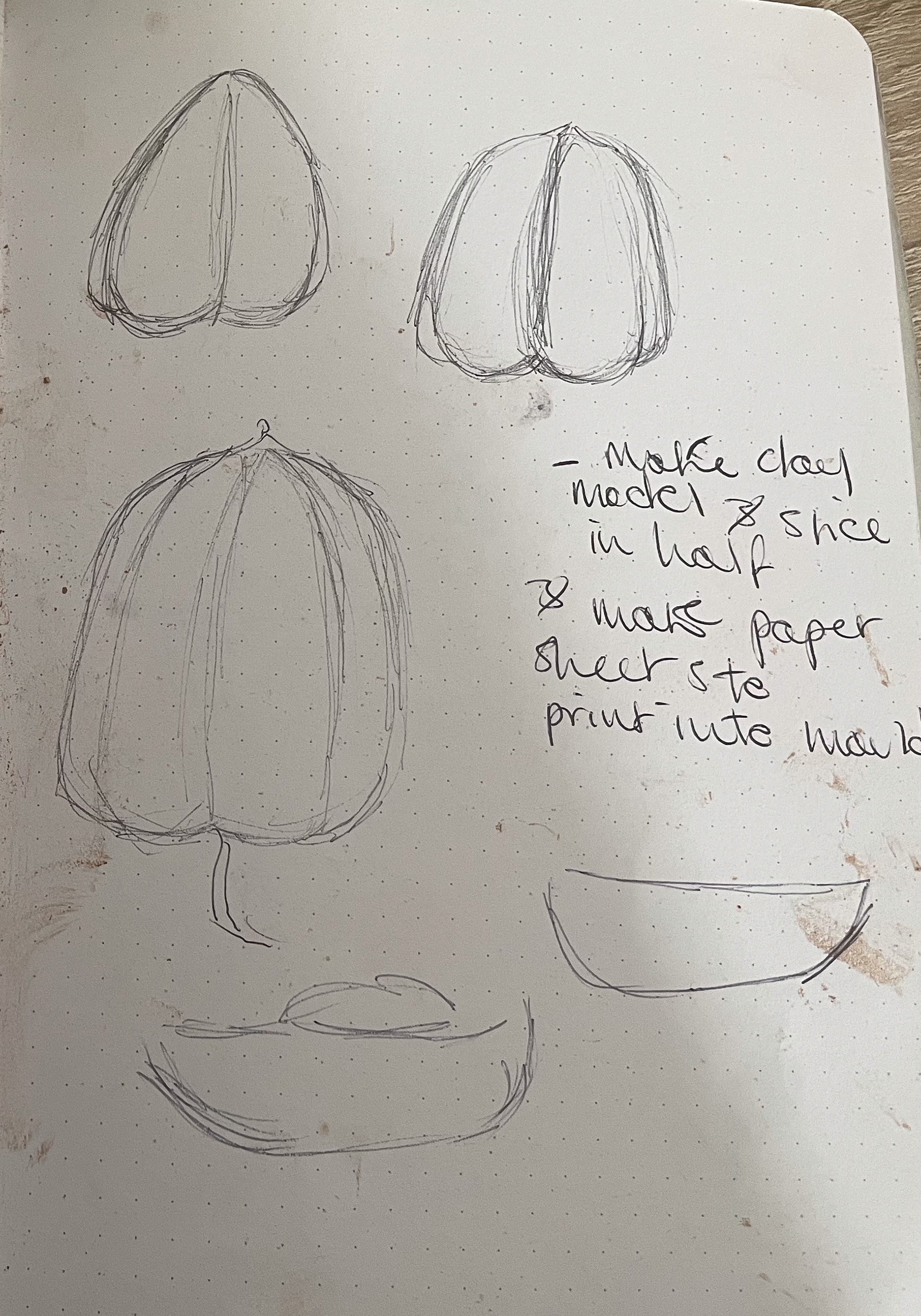 sketking my ackee scultpure to understand how it would work with moud making