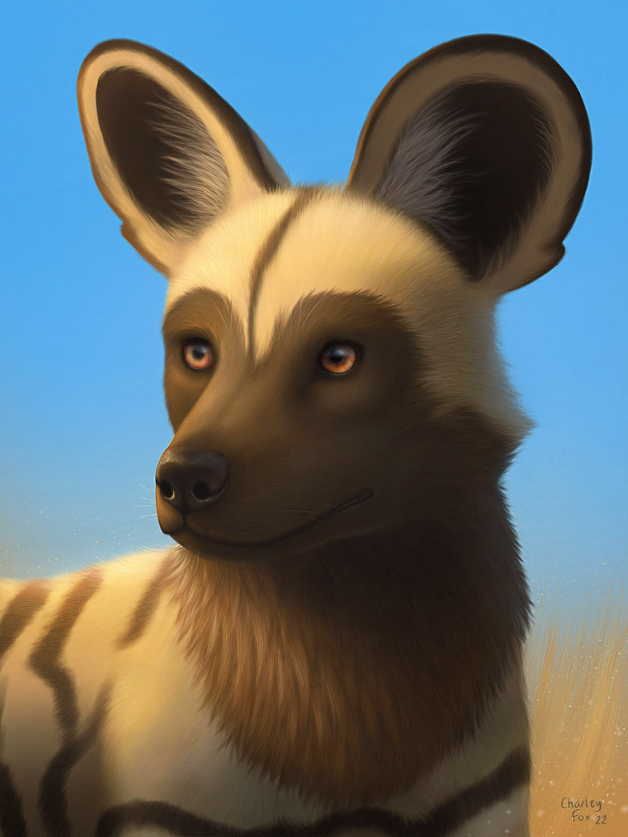 African Wild Dog